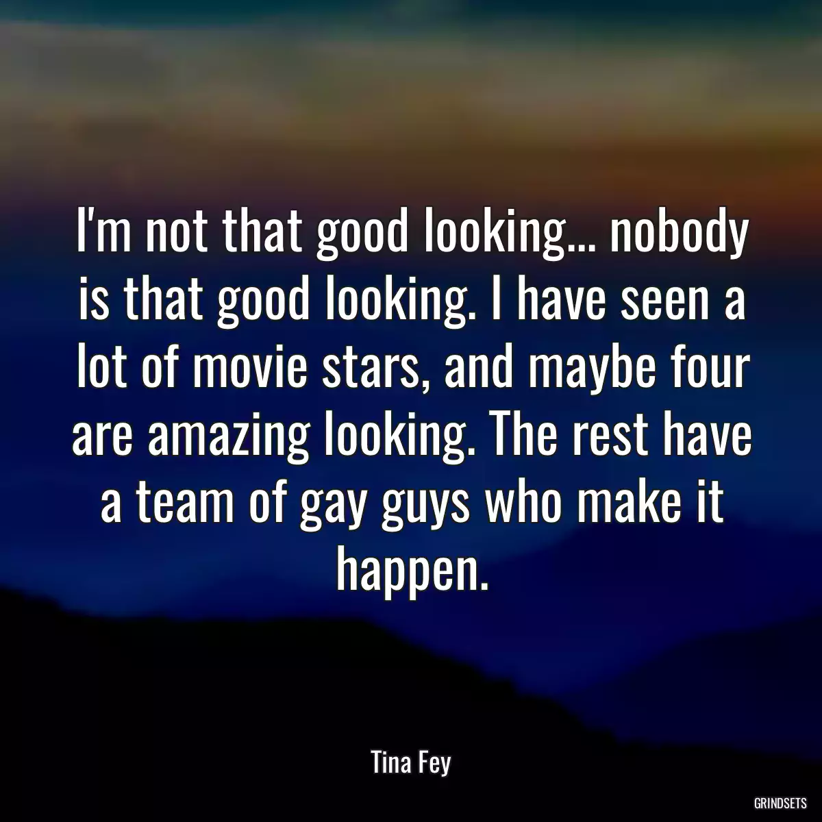 I\'m not that good looking... nobody is that good looking. I have seen a lot of movie stars, and maybe four are amazing looking. The rest have a team of gay guys who make it happen.