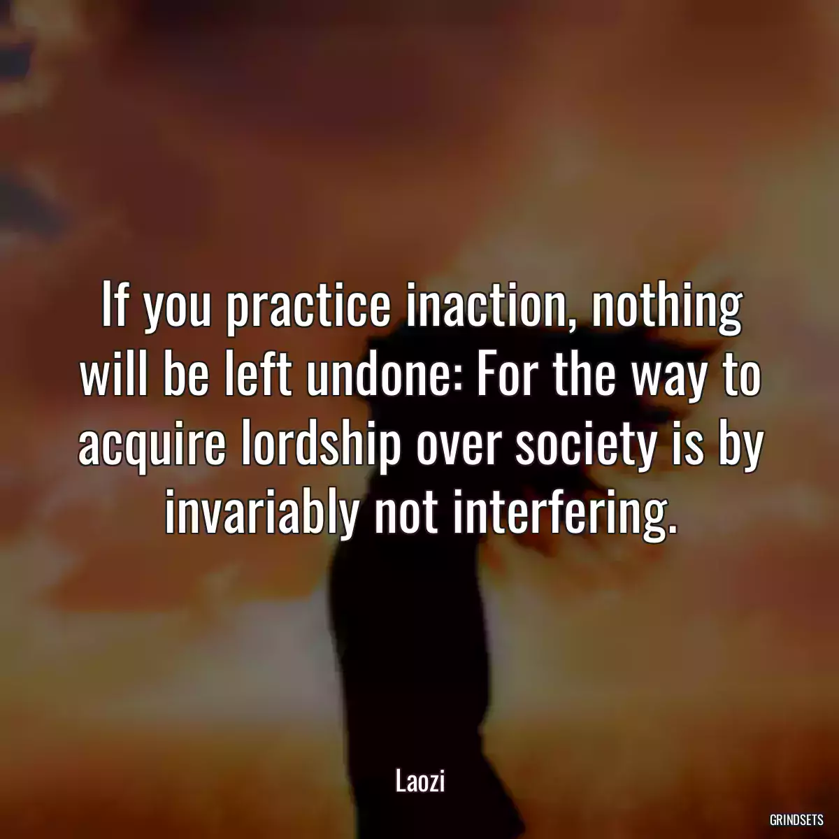 If you practice inaction, nothing will be left undone: For the way to acquire lordship over society is by invariably not interfering.