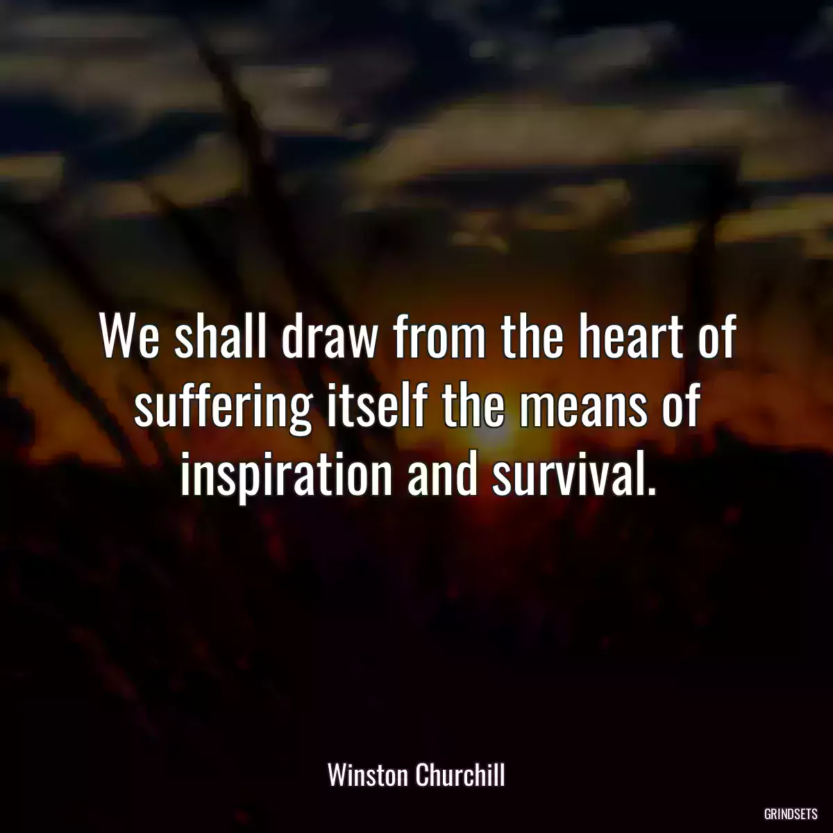 We shall draw from the heart of suffering itself the means of inspiration and survival.