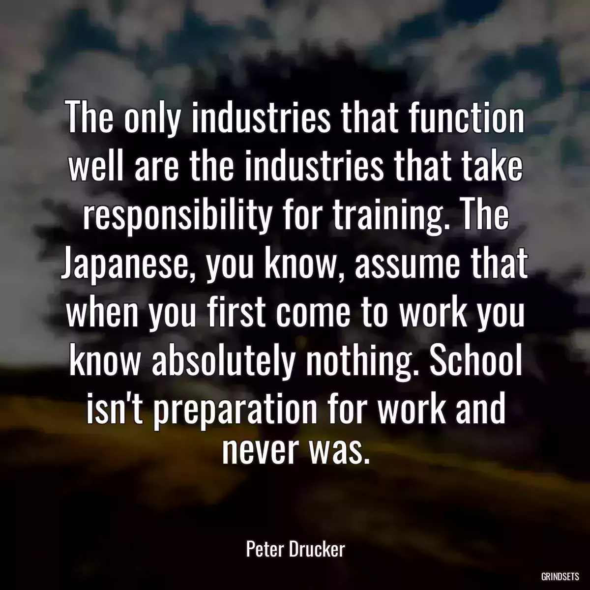 The only industries that function well are the industries that take responsibility for training. The Japanese, you know, assume that when you first come to work you know absolutely nothing. School isn\'t preparation for work and never was.