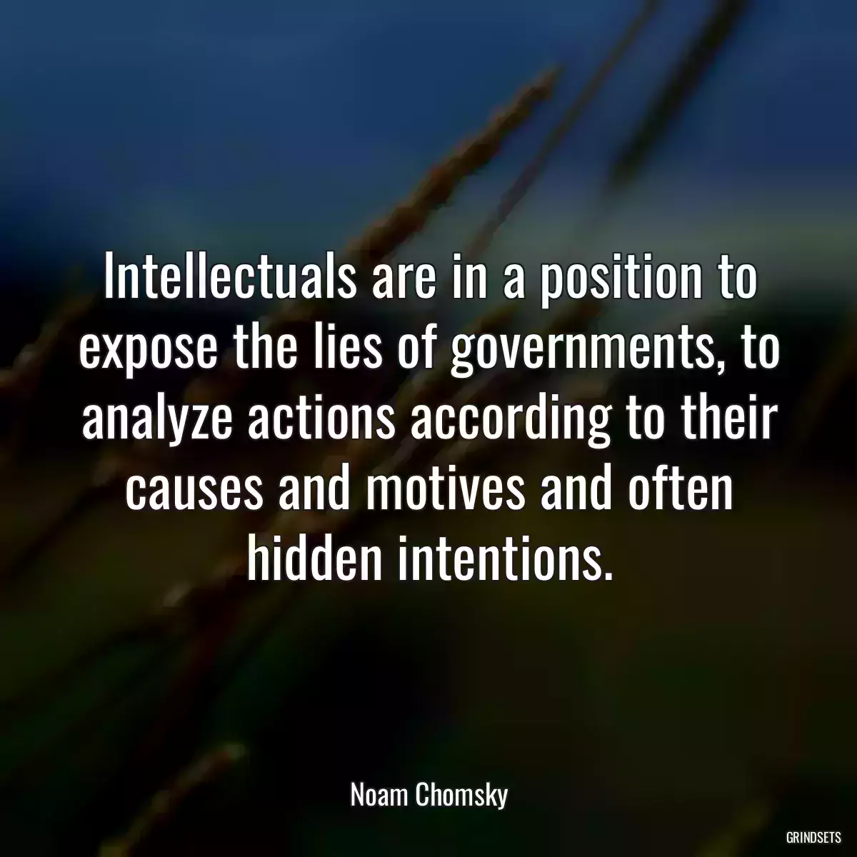 Intellectuals are in a position to expose the lies of governments, to analyze actions according to their causes and motives and often hidden intentions.