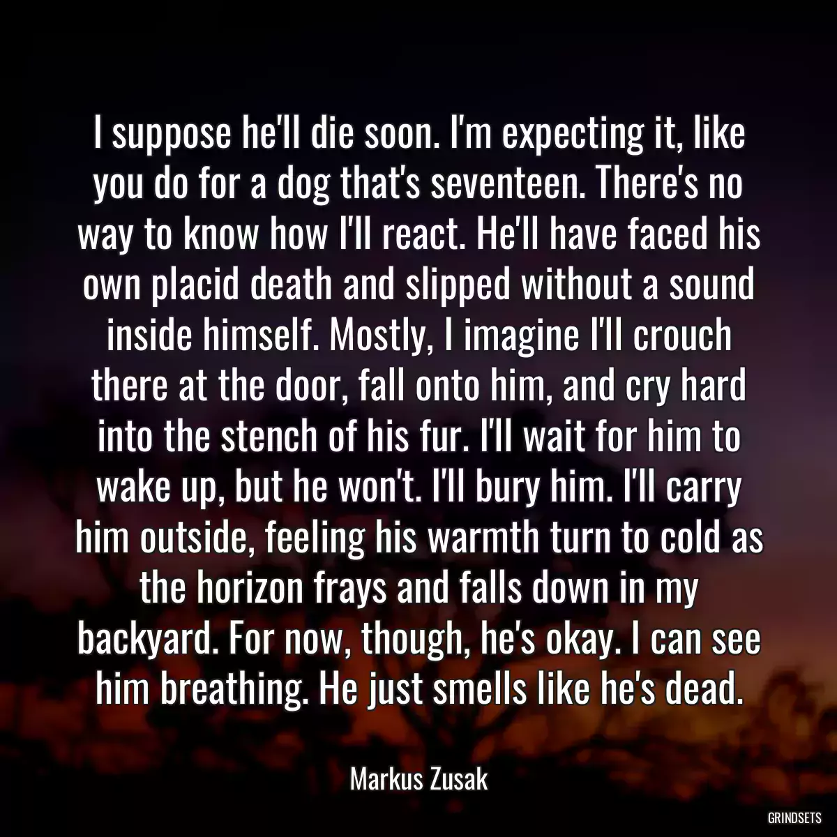 I suppose he\'ll die soon. I\'m expecting it, like you do for a dog that\'s seventeen. There\'s no way to know how I\'ll react. He\'ll have faced his own placid death and slipped without a sound inside himself. Mostly, I imagine I\'ll crouch there at the door, fall onto him, and cry hard into the stench of his fur. I\'ll wait for him to wake up, but he won\'t. I\'ll bury him. I\'ll carry him outside, feeling his warmth turn to cold as the horizon frays and falls down in my backyard. For now, though, he\'s okay. I can see him breathing. He just smells like he\'s dead.