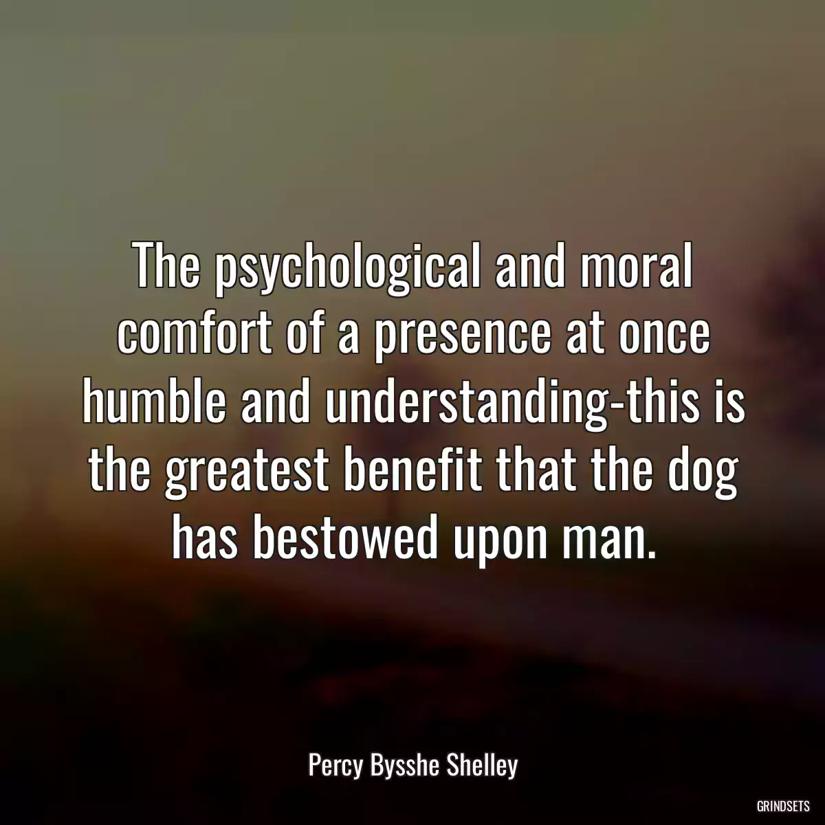 The psychological and moral comfort of a presence at once humble and understanding-this is the greatest benefit that the dog has bestowed upon man.