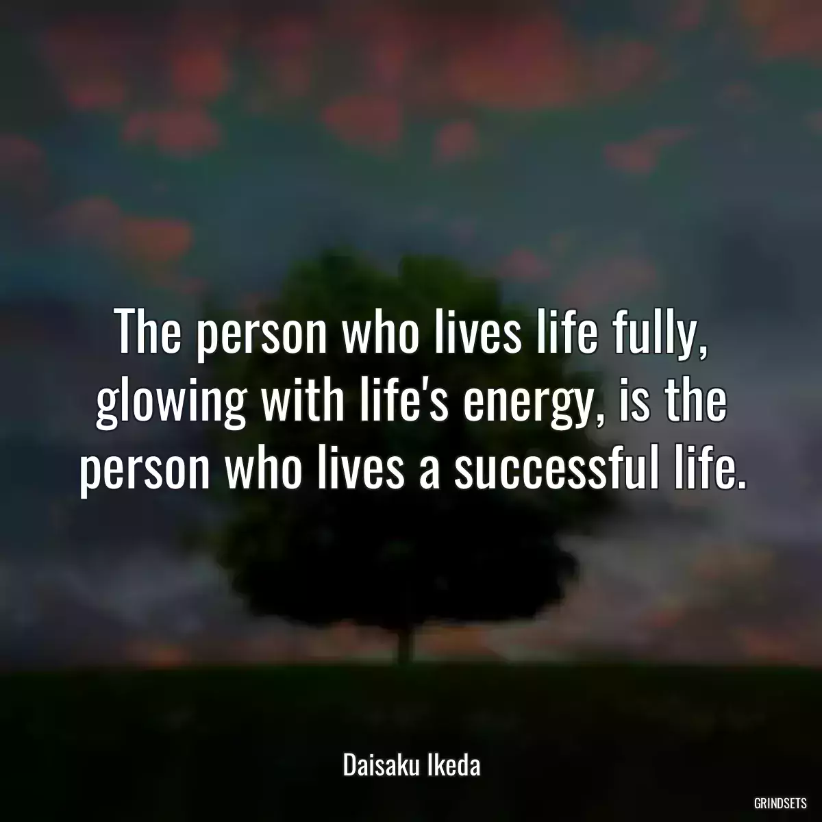 The person who lives life fully, glowing with life\'s energy, is the person who lives a successful life.