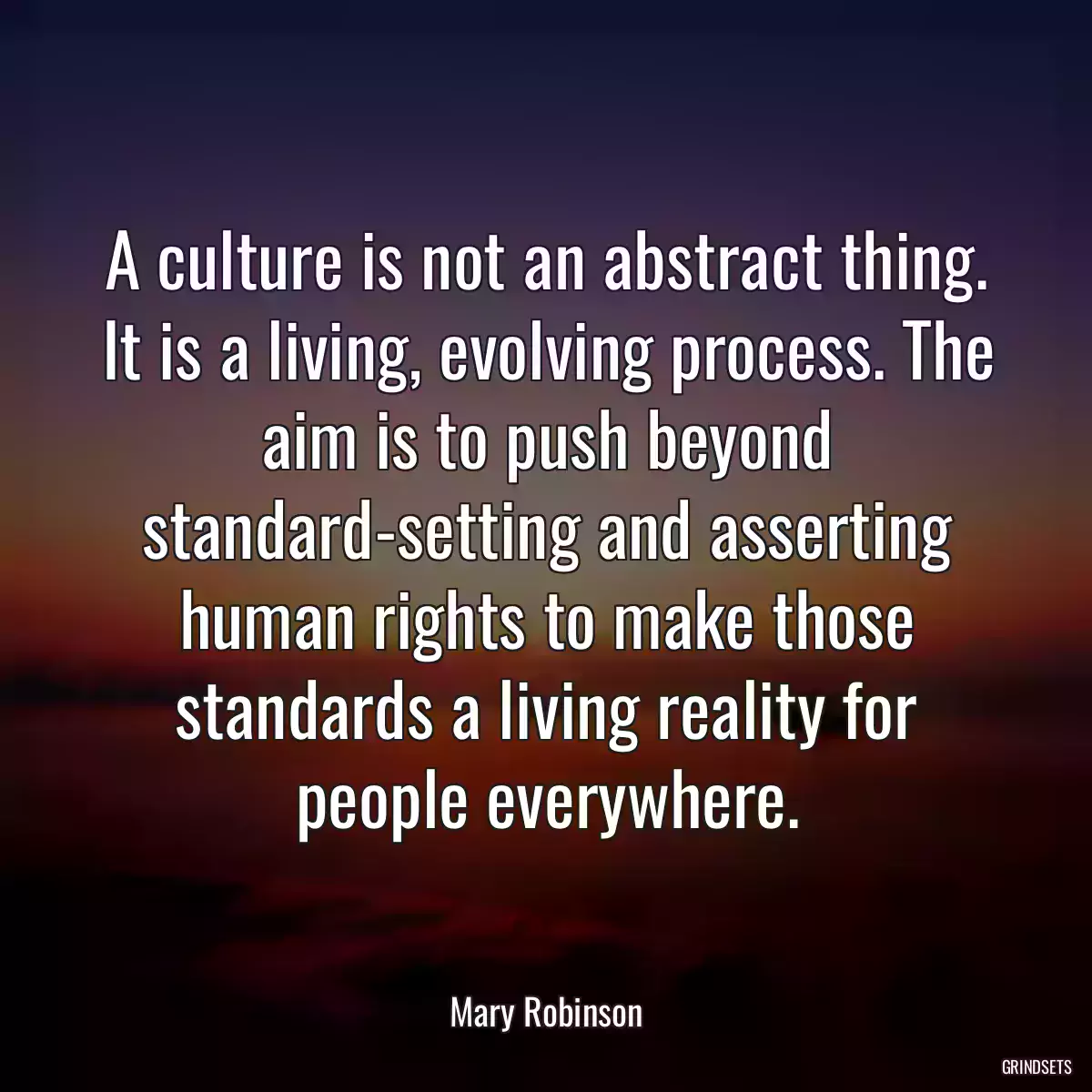 A culture is not an abstract thing. It is a living, evolving process. The aim is to push beyond standard-setting and asserting human rights to make those standards a living reality for people everywhere.