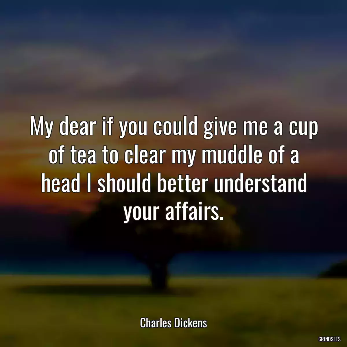 My dear if you could give me a cup of tea to clear my muddle of a head I should better understand your affairs.