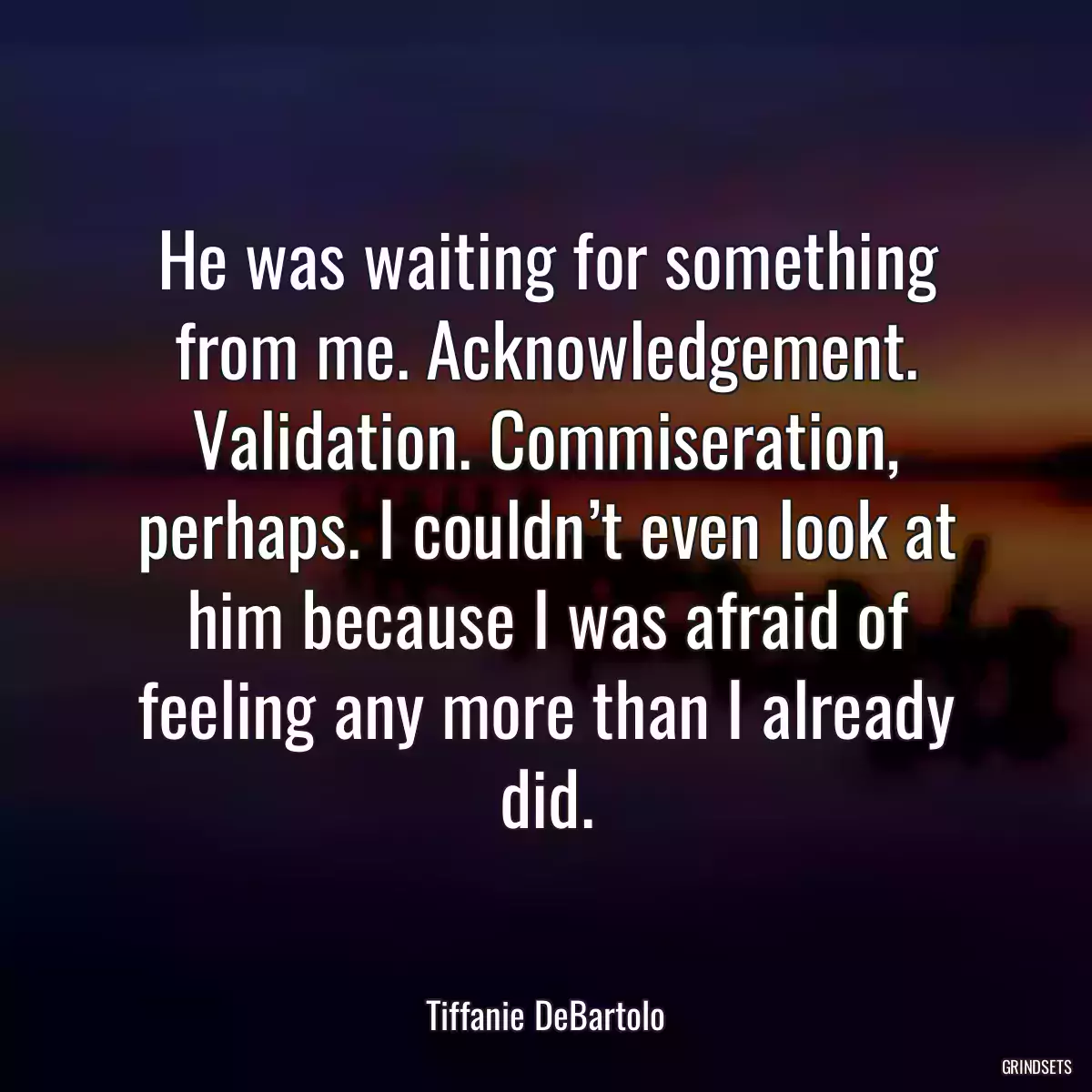 He was waiting for something from me. Acknowledgement. Validation. Commiseration, perhaps. I couldn’t even look at him because I was afraid of feeling any more than I already did.