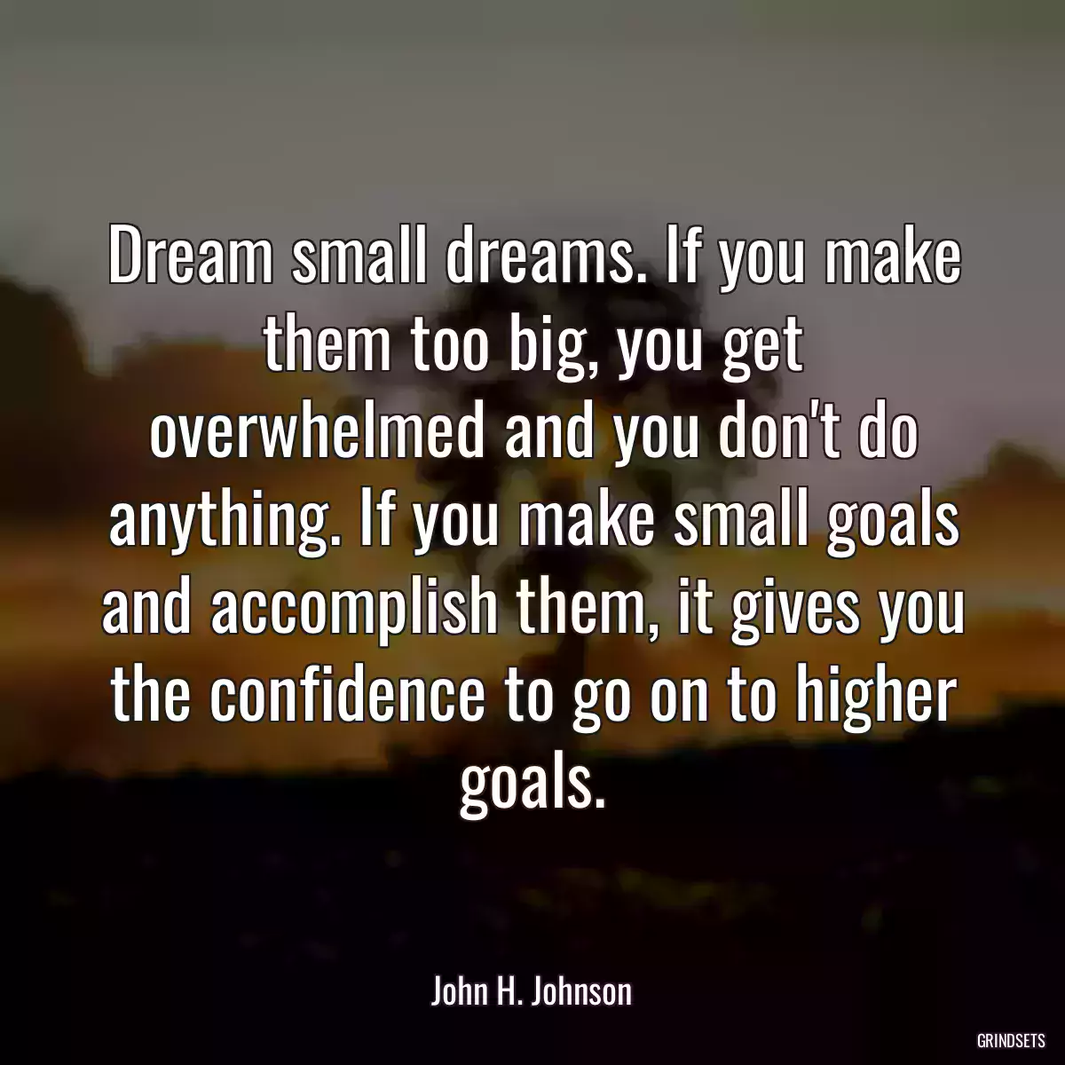 Dream small dreams. If you make them too big, you get overwhelmed and you don\'t do anything. If you make small goals and accomplish them, it gives you the confidence to go on to higher goals.