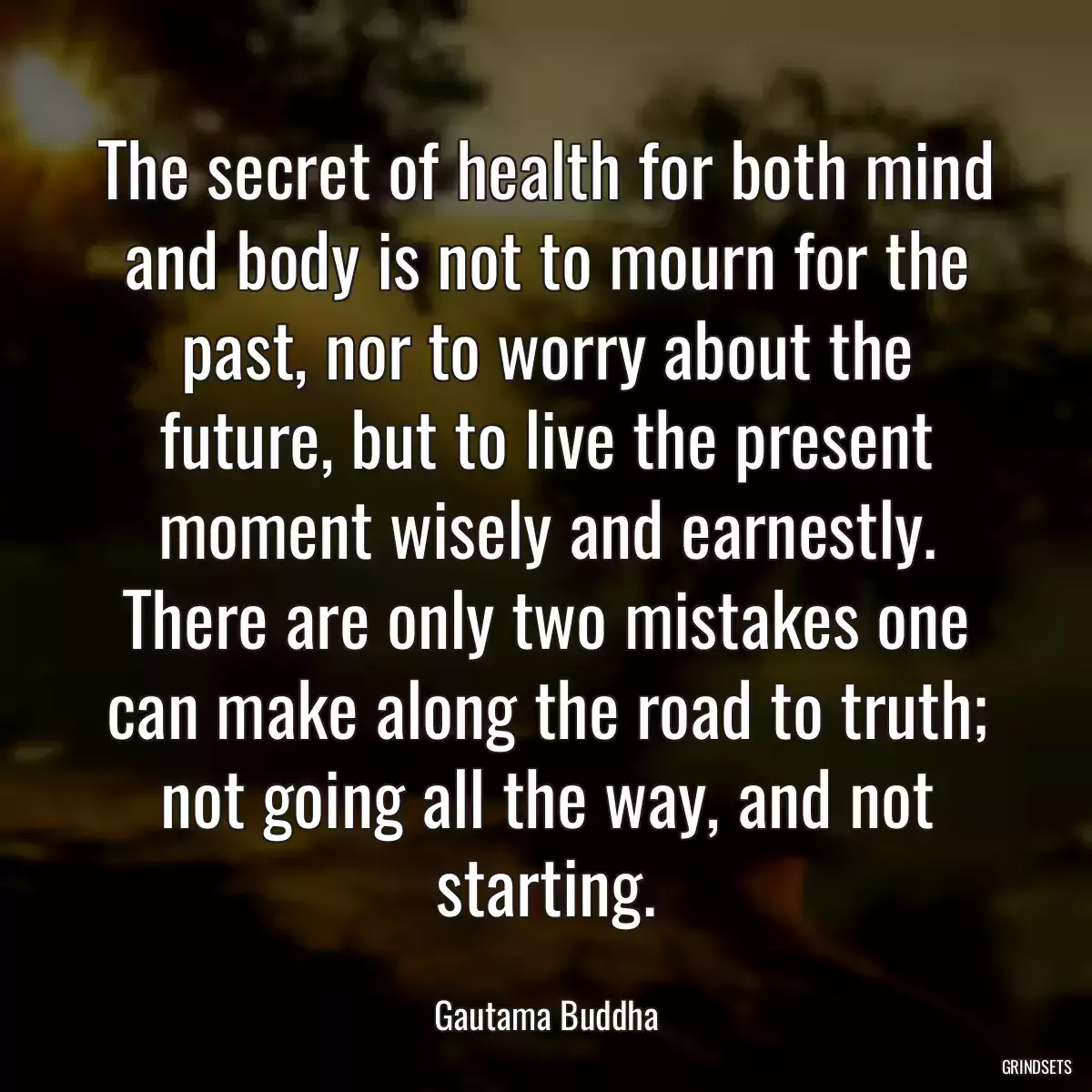 The secret of health for both mind and body is not to mourn for the past, nor to worry about the future, but to live the present moment wisely and earnestly. There are only two mistakes one can make along the road to truth; not going all the way, and not starting.