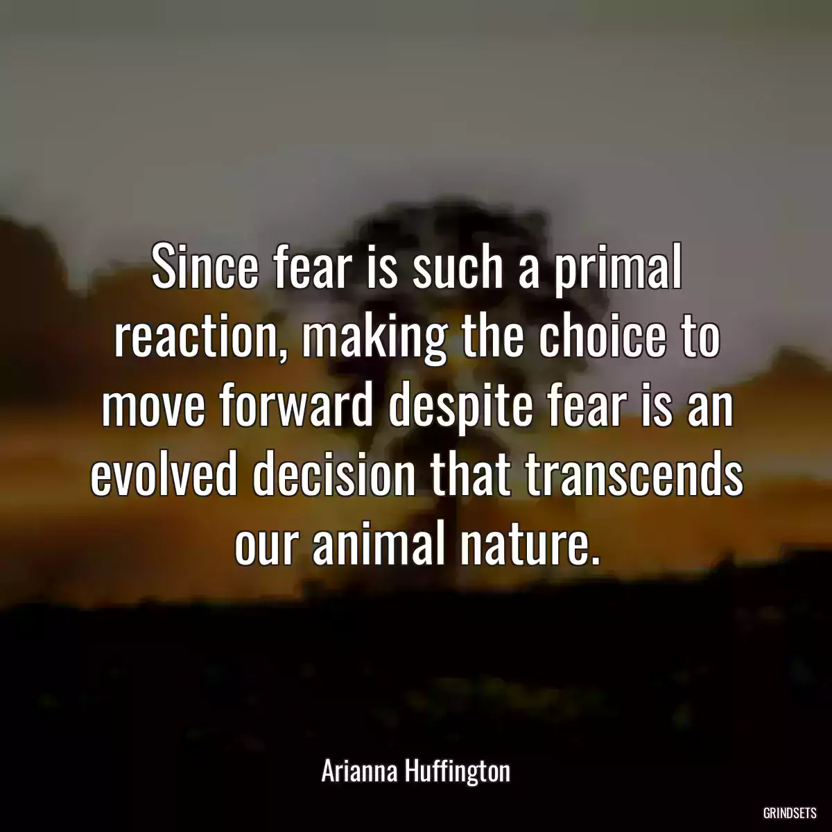 Since fear is such a primal reaction, making the choice to move forward despite fear is an evolved decision that transcends our animal nature.