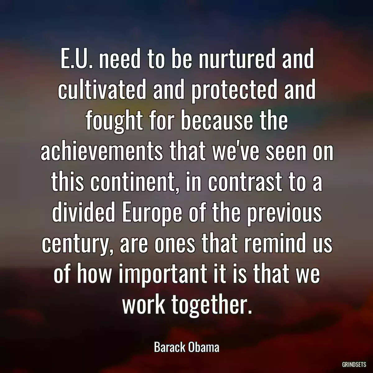 E.U. need to be nurtured and cultivated and protected and fought for because the achievements that we\'ve seen on this continent, in contrast to a divided Europe of the previous century, are ones that remind us of how important it is that we work together.