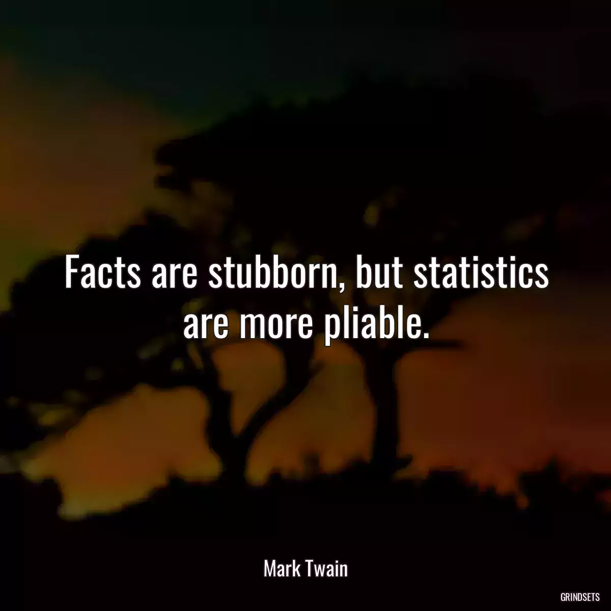 Facts are stubborn, but statistics are more pliable.