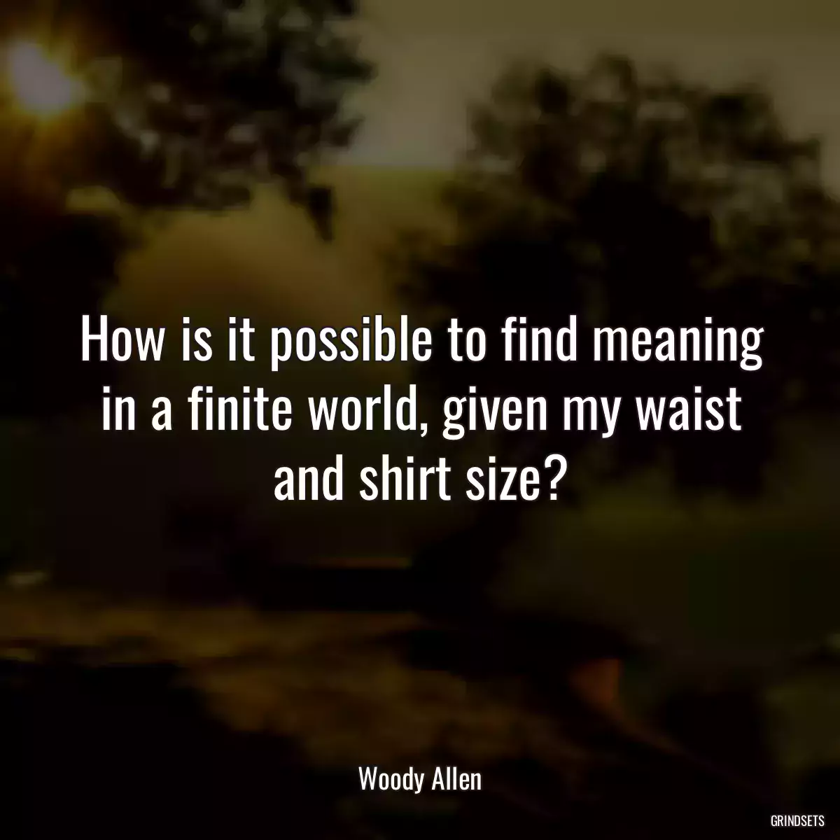 How is it possible to find meaning in a finite world, given my waist and shirt size?