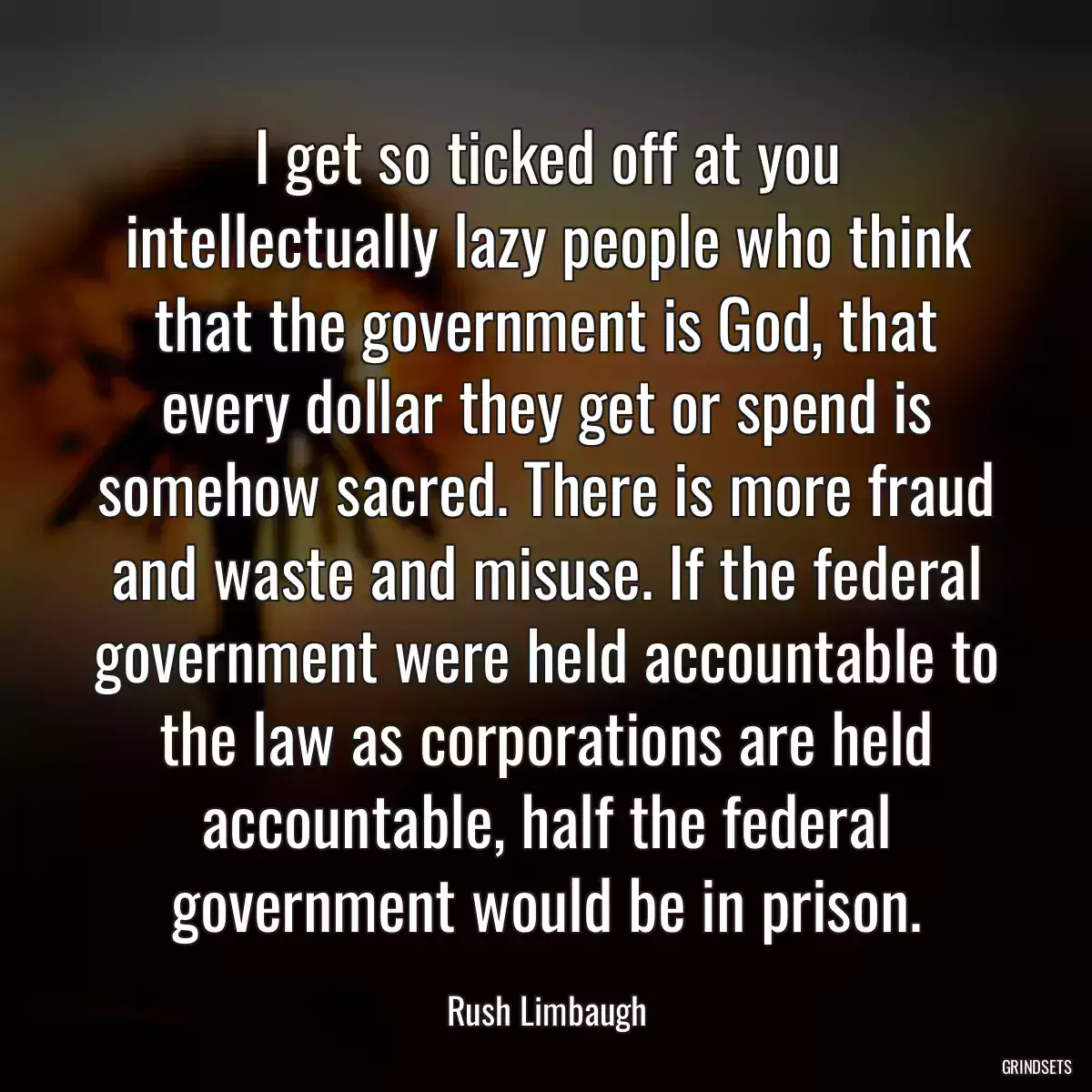 I get so ticked off at you intellectually lazy people who think that the government is God, that every dollar they get or spend is somehow sacred. There is more fraud and waste and misuse. If the federal government were held accountable to the law as corporations are held accountable, half the federal government would be in prison.