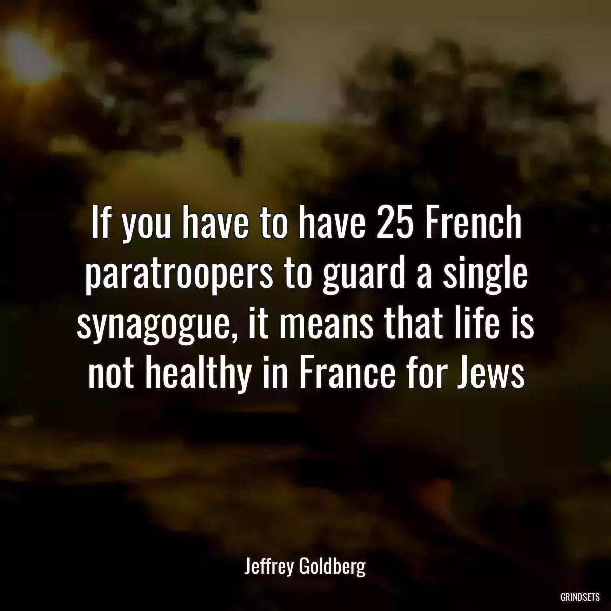 If you have to have 25 French paratroopers to guard a single synagogue, it means that life is not healthy in France for Jews