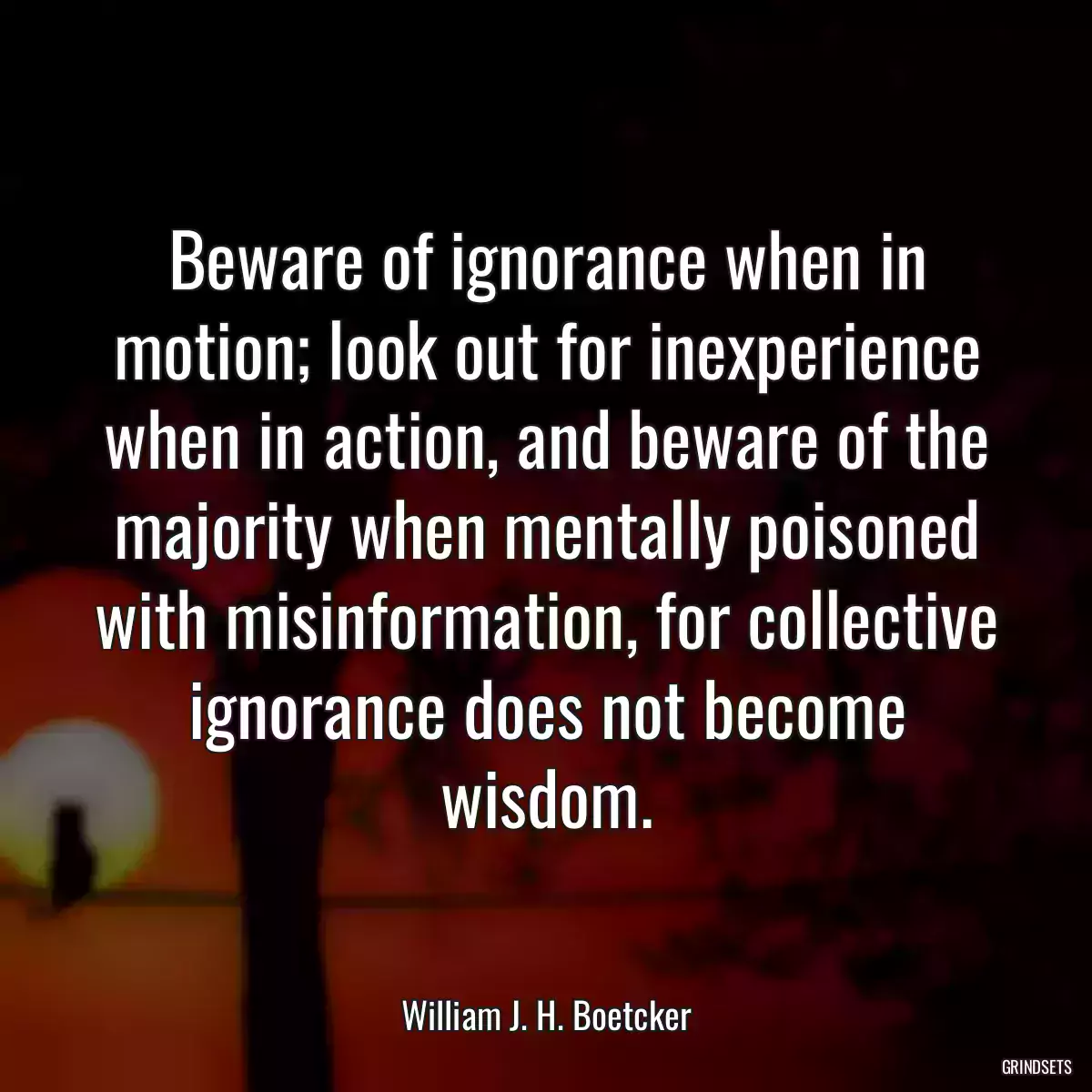 Beware of ignorance when in motion; look out for inexperience when in action, and beware of the majority when mentally poisoned with misinformation, for collective ignorance does not become wisdom.