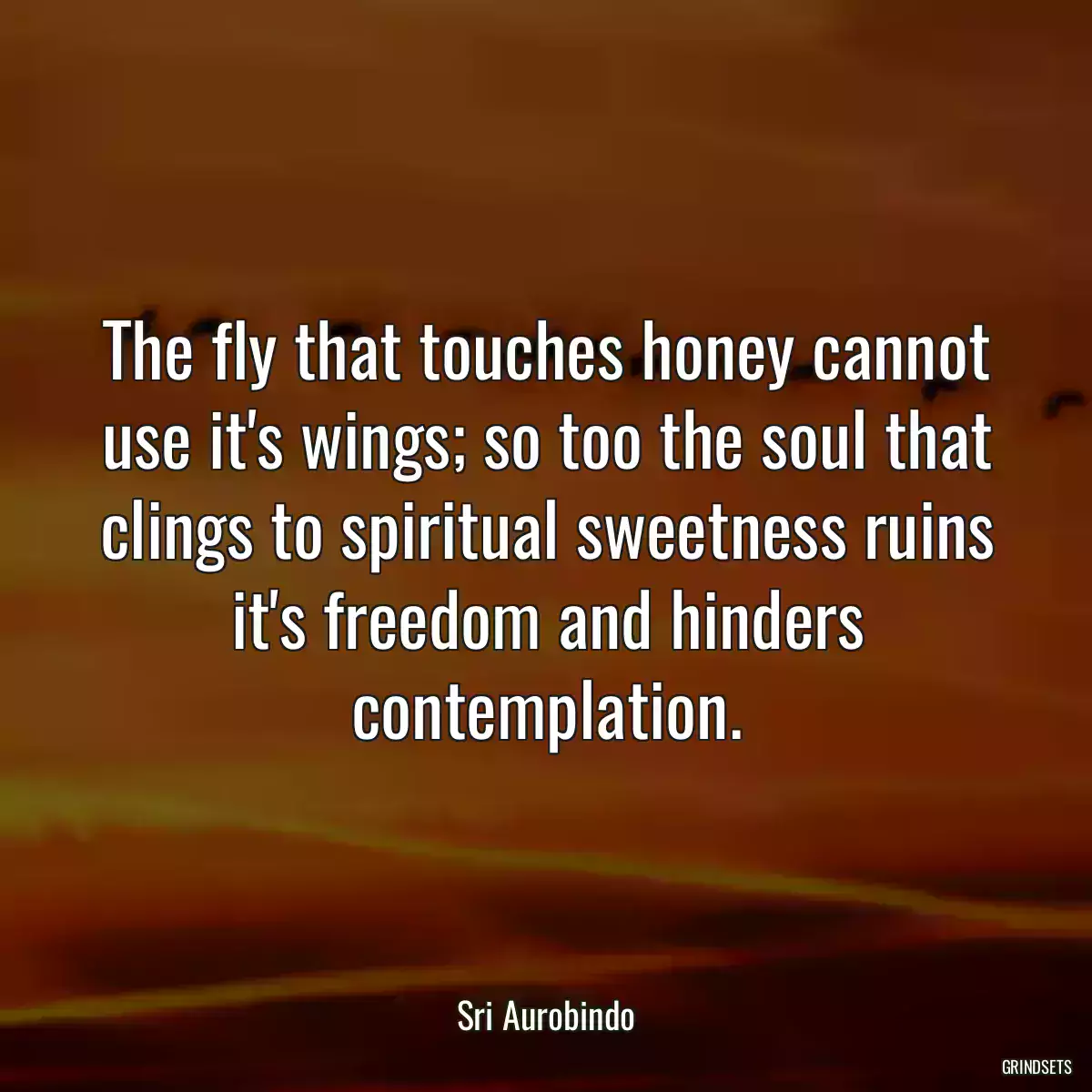 The fly that touches honey cannot use it\'s wings; so too the soul that clings to spiritual sweetness ruins it\'s freedom and hinders contemplation.