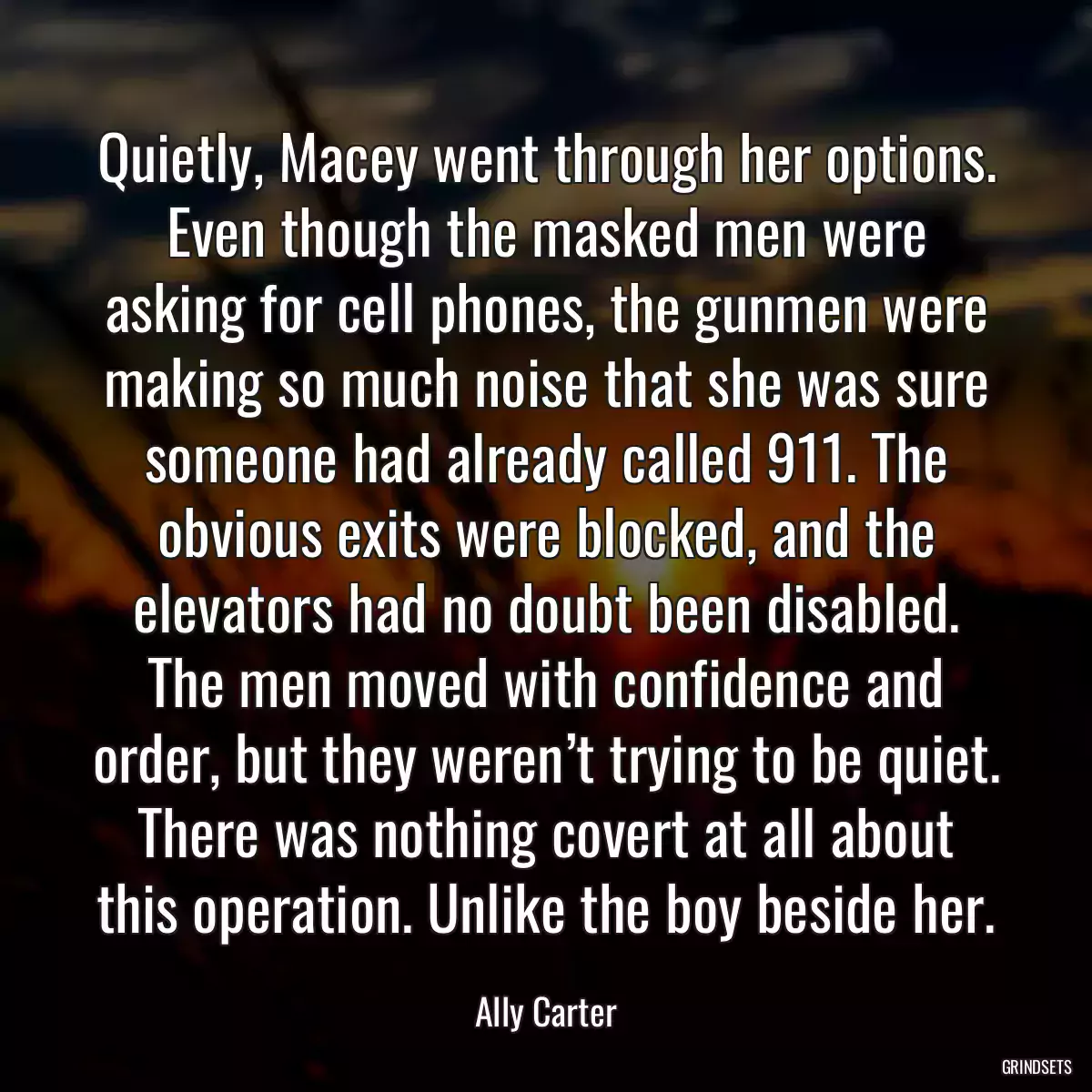 Quietly, Macey went through her options. Even though the masked men were asking for cell phones, the gunmen were making so much noise that she was sure someone had already called 911. The obvious exits were blocked, and the elevators had no doubt been disabled. The men moved with confidence and order, but they weren’t trying to be quiet. There was nothing covert at all about this operation. Unlike the boy beside her.