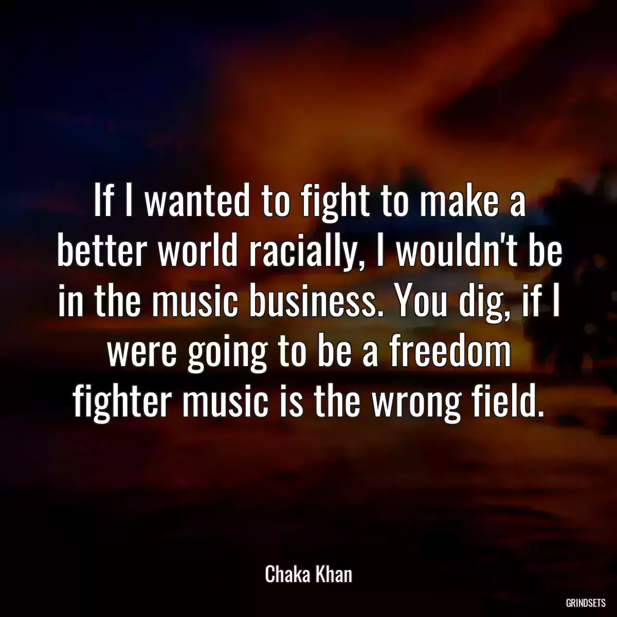 If I wanted to fight to make a better world racially, I wouldn\'t be in the music business. You dig, if I were going to be a freedom fighter music is the wrong field.