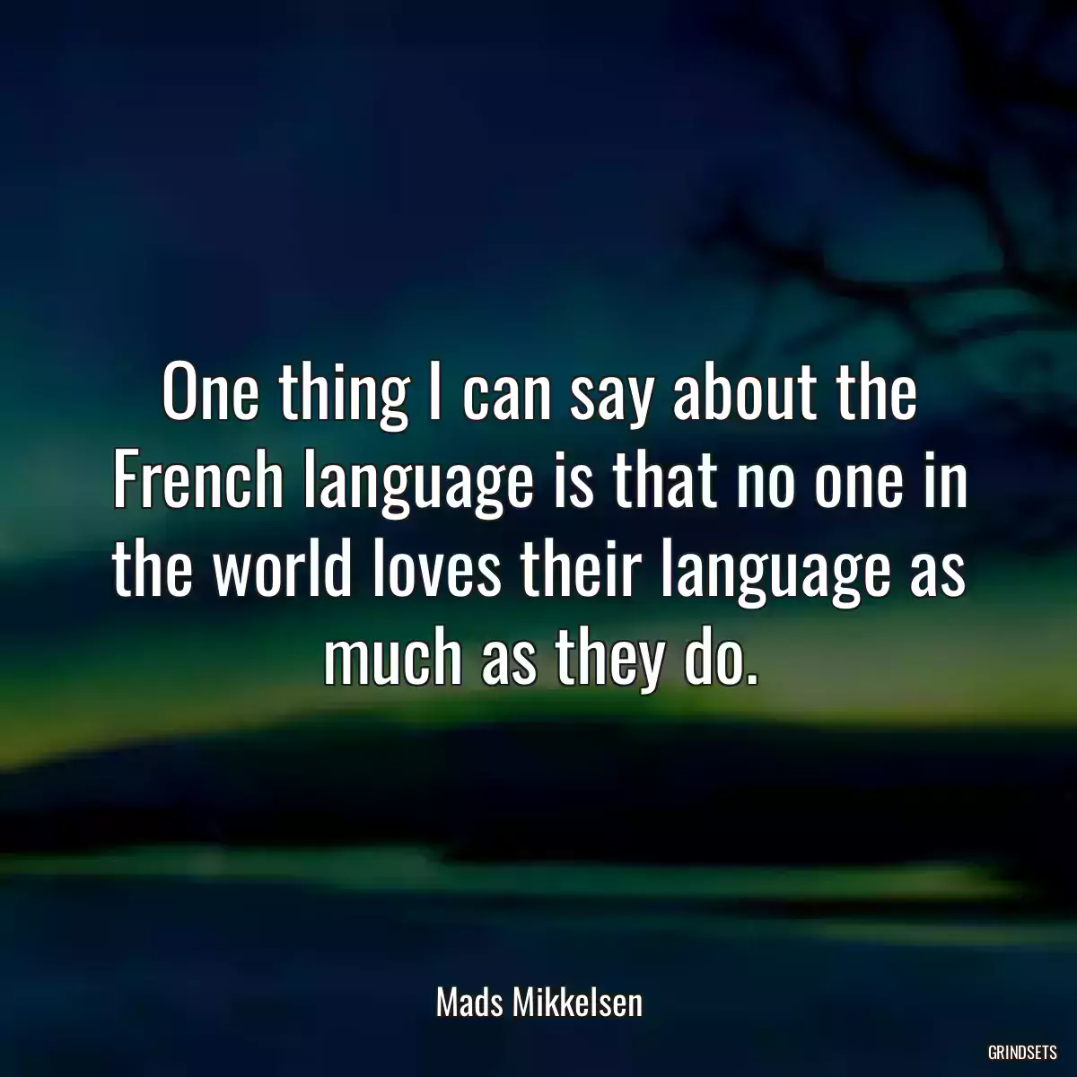 One thing I can say about the French language is that no one in the world loves their language as much as they do.