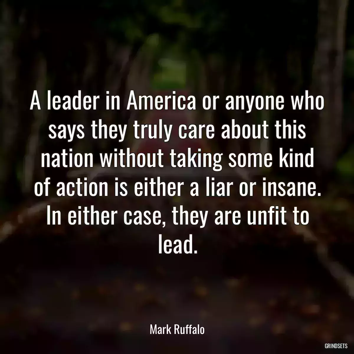 A leader in America or anyone who says they truly care about this nation without taking some kind of action is either a liar or insane. In either case, they are unfit to lead.