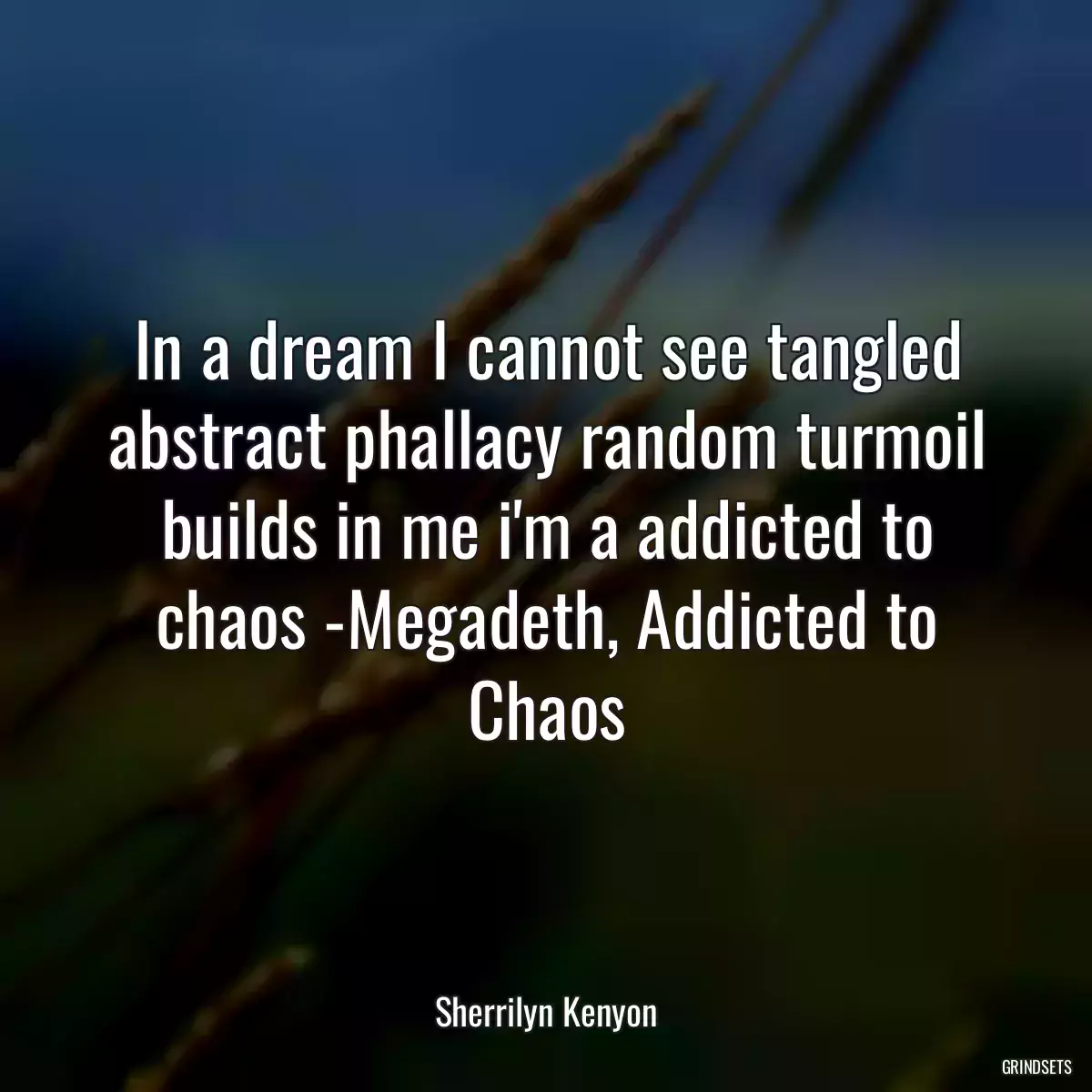 In a dream I cannot see tangled abstract phallacy random turmoil builds in me i\'m a addicted to chaos -Megadeth, Addicted to Chaos