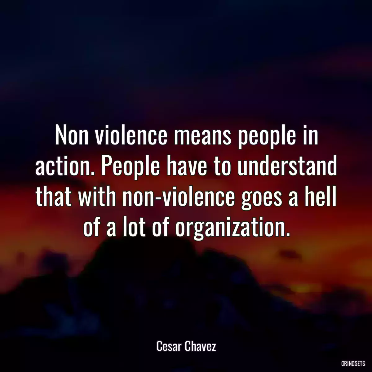 Non violence means people in action. People have to understand that with non-violence goes a hell of a lot of organization.