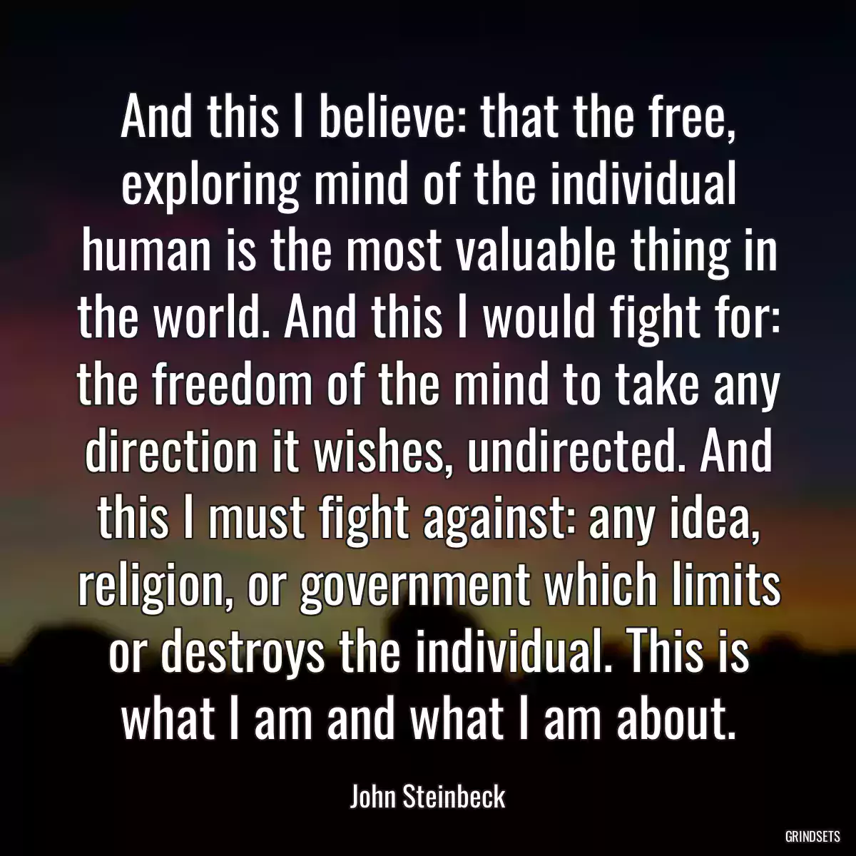 And this I believe: that the free, exploring mind of the individual human is the most valuable thing in the world. And this I would fight for: the freedom of the mind to take any direction it wishes, undirected. And this I must fight against: any idea, religion, or government which limits or destroys the individual. This is what I am and what I am about.