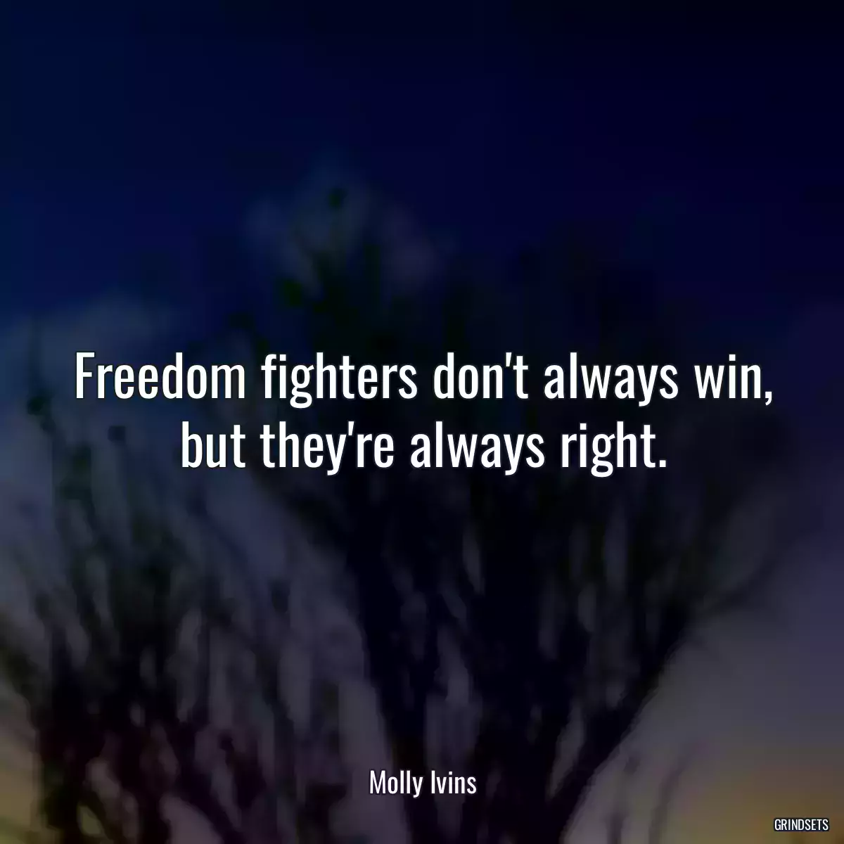 Freedom fighters don\'t always win, but they\'re always right.