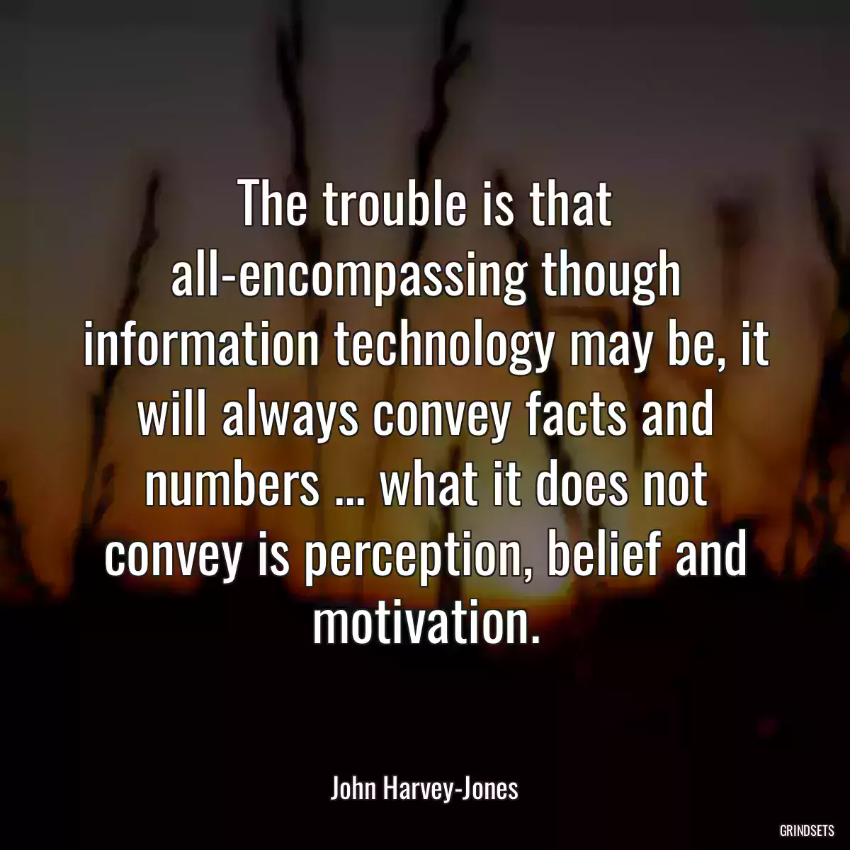 The trouble is that all-encompassing though information technology may be, it will always convey facts and numbers ... what it does not convey is perception, belief and motivation.