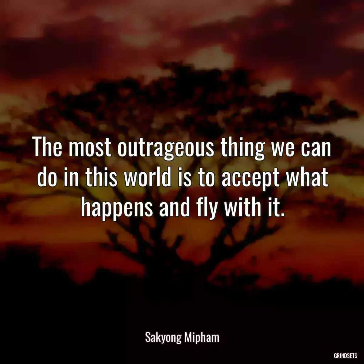 The most outrageous thing we can do in this world is to accept what happens and fly with it.