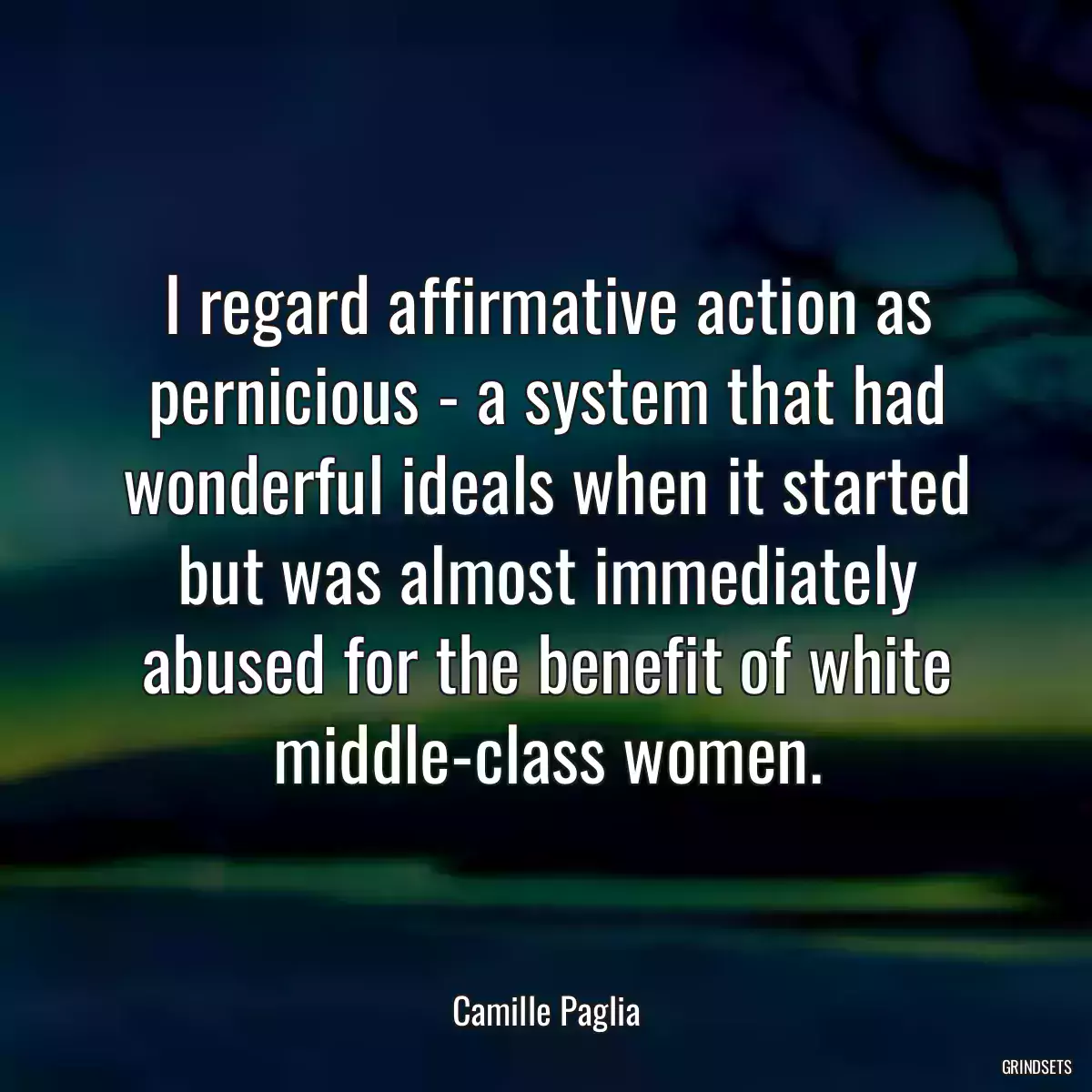 I regard affirmative action as pernicious - a system that had wonderful ideals when it started but was almost immediately abused for the benefit of white middle-class women.