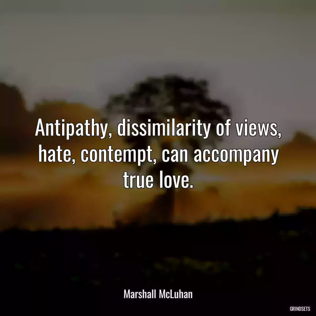 Antipathy, dissimilarity of views, hate, contempt, can accompany true love.