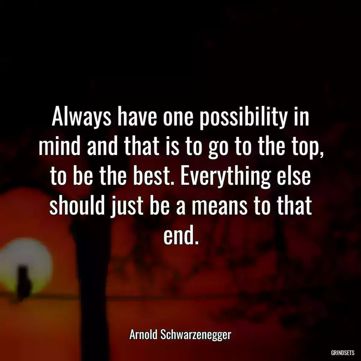 Always have one possibility in mind and that is to go to the top, to be the best. Everything else should just be a means to that end.