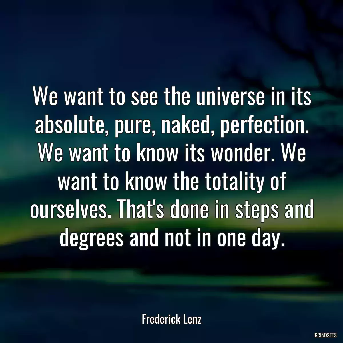 We want to see the universe in its absolute, pure, naked, perfection. We want to know its wonder. We want to know the totality of ourselves. That\'s done in steps and degrees and not in one day.