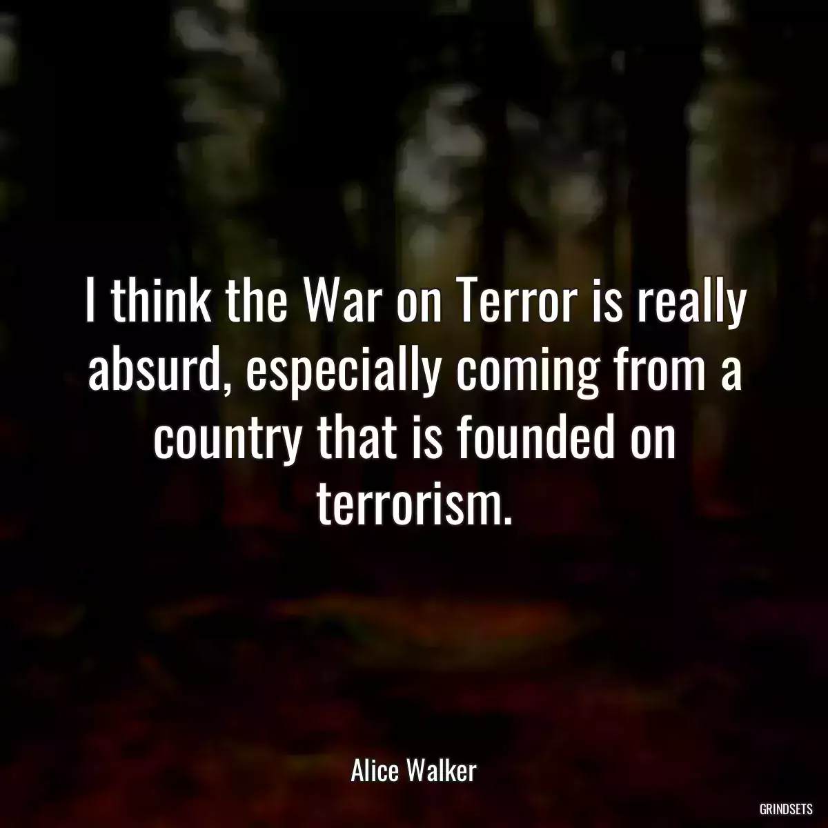 I think the War on Terror is really absurd, especially coming from a country that is founded on terrorism.