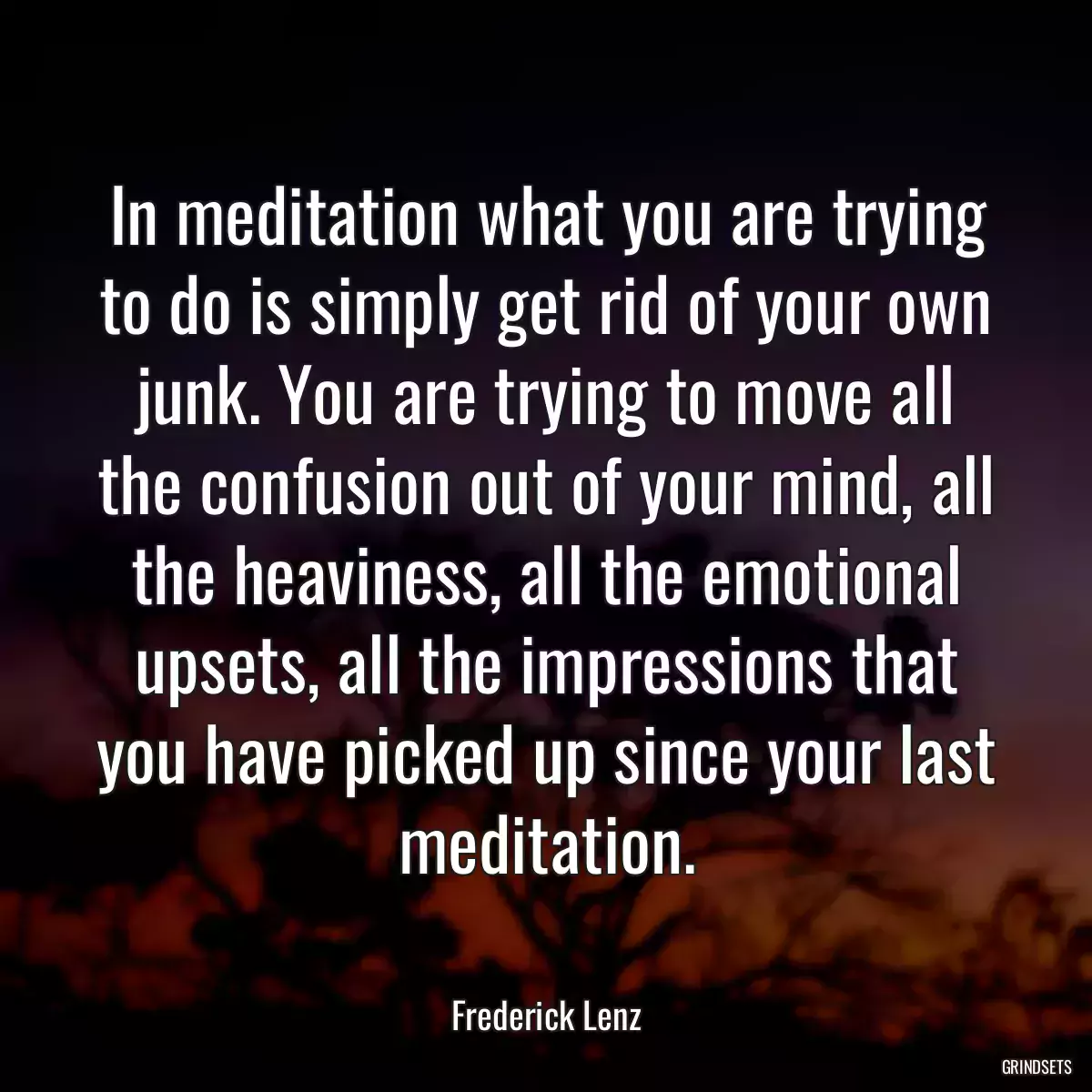 In meditation what you are trying to do is simply get rid of your own junk. You are trying to move all the confusion out of your mind, all the heaviness, all the emotional upsets, all the impressions that you have picked up since your last meditation.