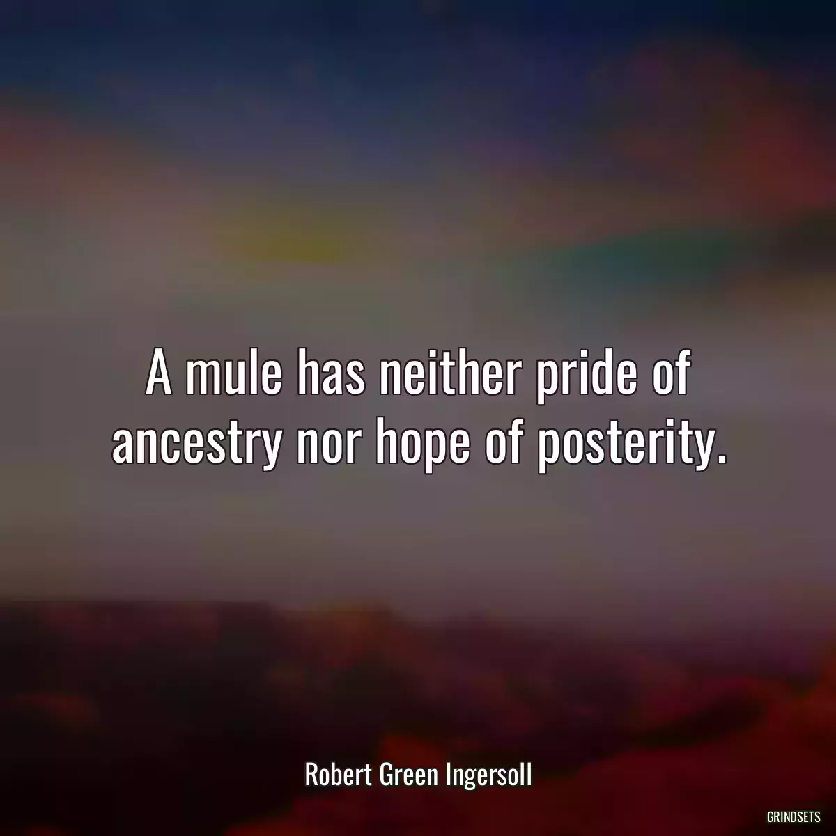 A mule has neither pride of ancestry nor hope of posterity.