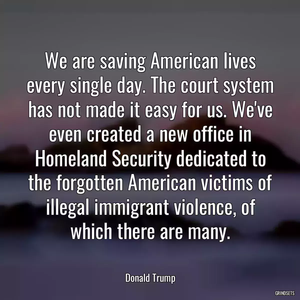 We are saving American lives every single day. The court system has not made it easy for us. We\'ve even created a new office in Homeland Security dedicated to the forgotten American victims of illegal immigrant violence, of which there are many.