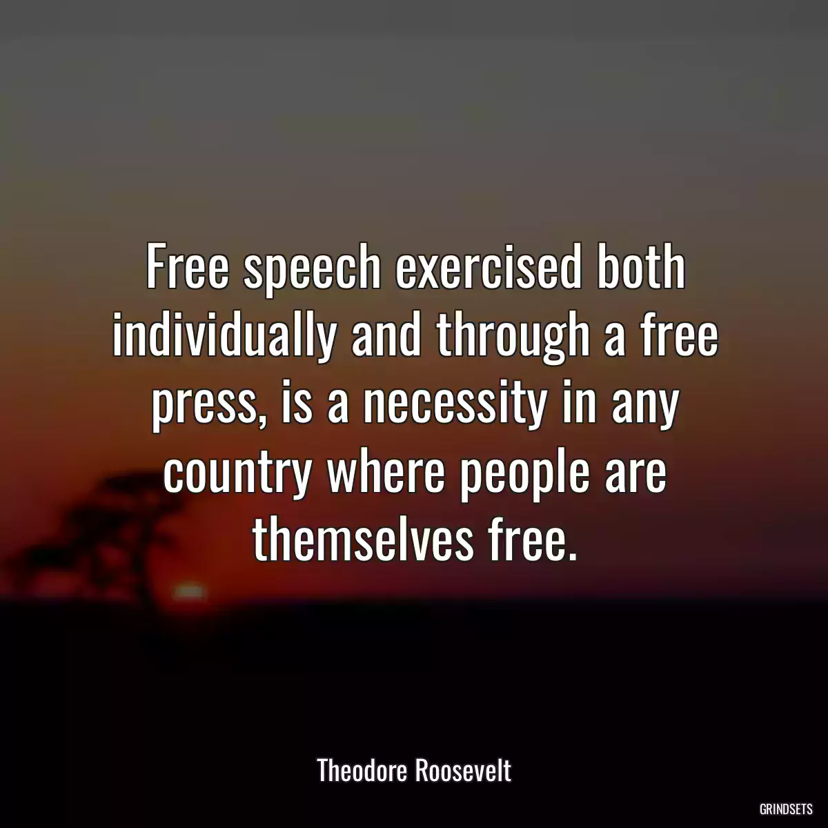 Free speech exercised both individually and through a free press, is a necessity in any country where people are themselves free.