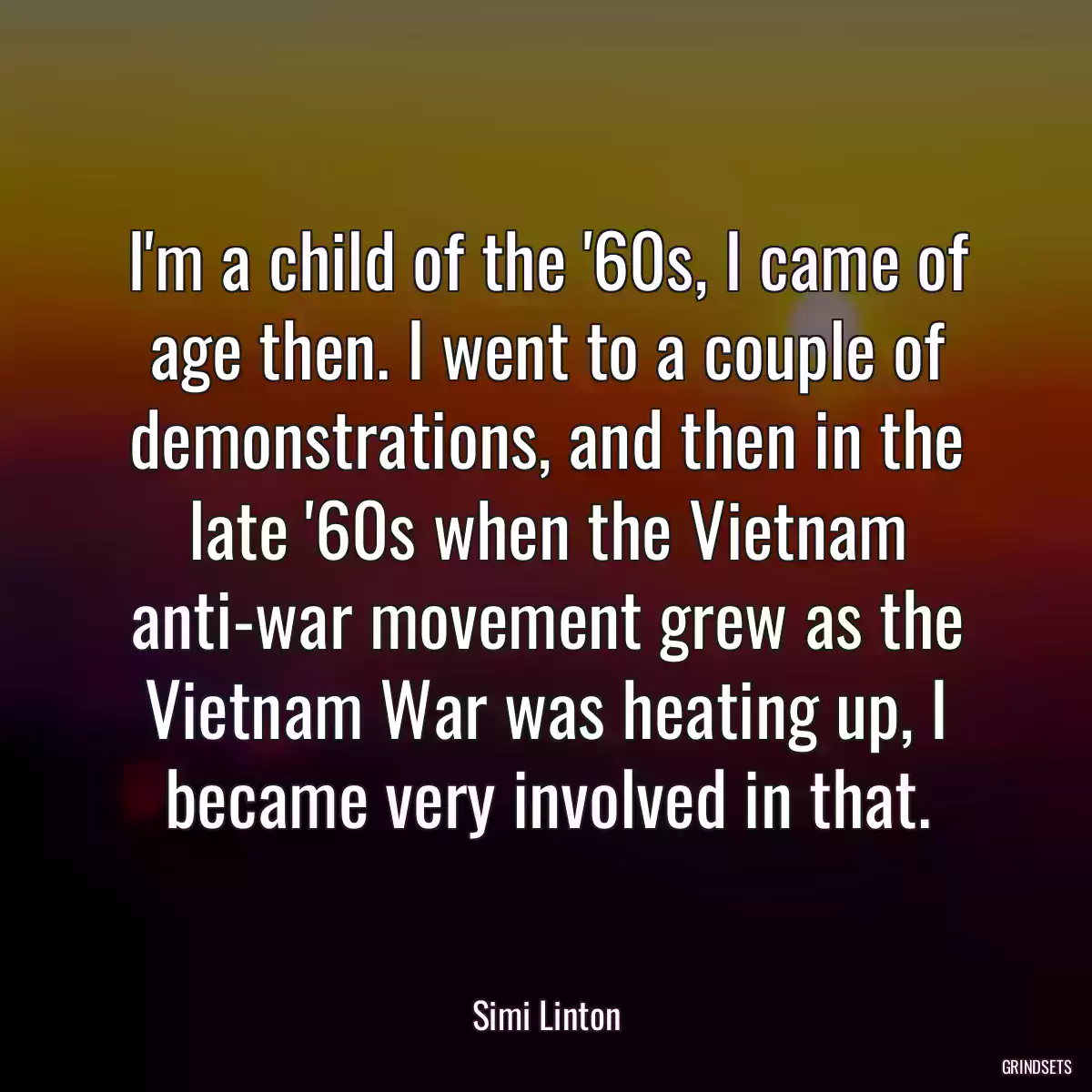 I\'m a child of the \'60s, I came of age then. I went to a couple of demonstrations, and then in the late \'60s when the Vietnam anti-war movement grew as the Vietnam War was heating up, I became very involved in that.