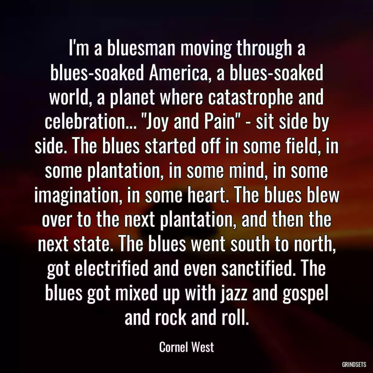 I\'m a bluesman moving through a blues-soaked America, a blues-soaked world, a planet where catastrophe and celebration... \