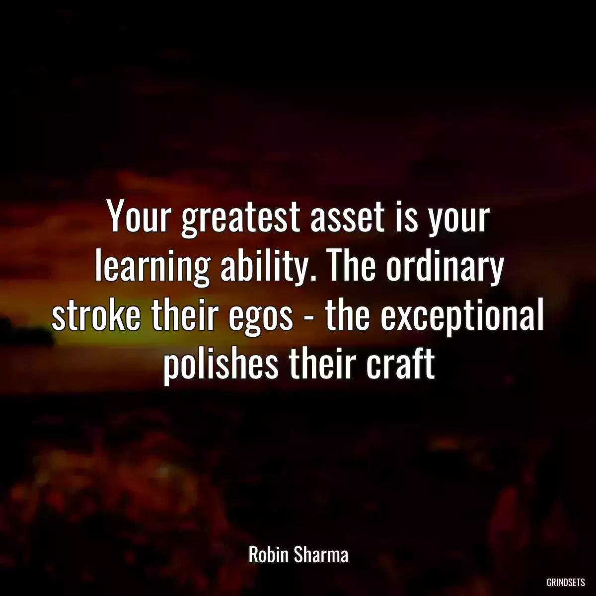 Your greatest asset is your learning ability. The ordinary stroke their egos - the exceptional polishes their craft