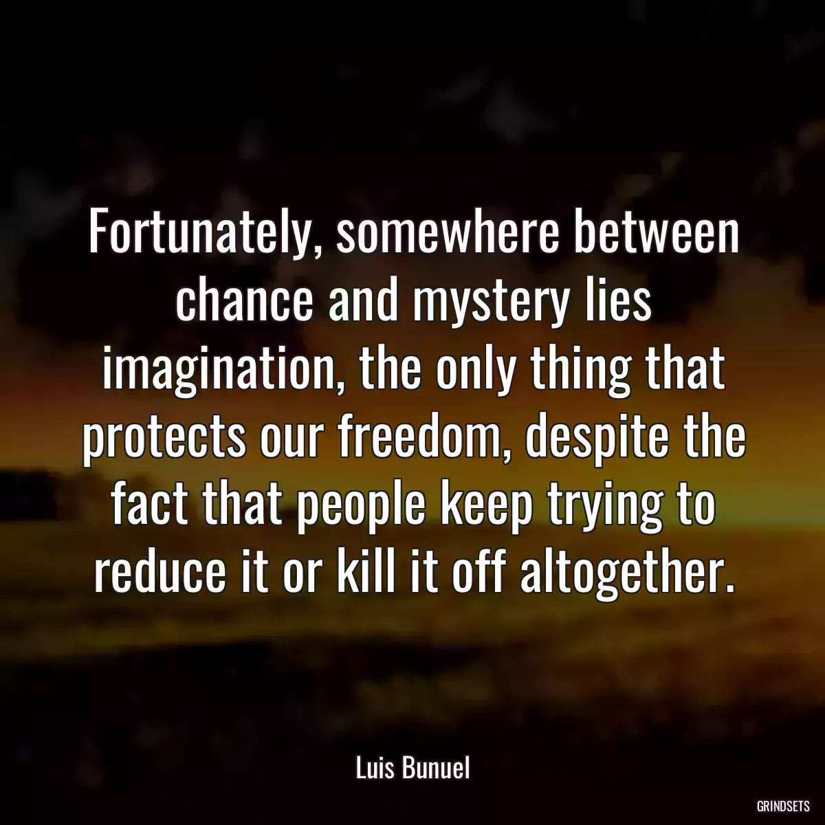 Fortunately, somewhere between chance and mystery lies imagination, the only thing that protects our freedom, despite the fact that people keep trying to reduce it or kill it off altogether.