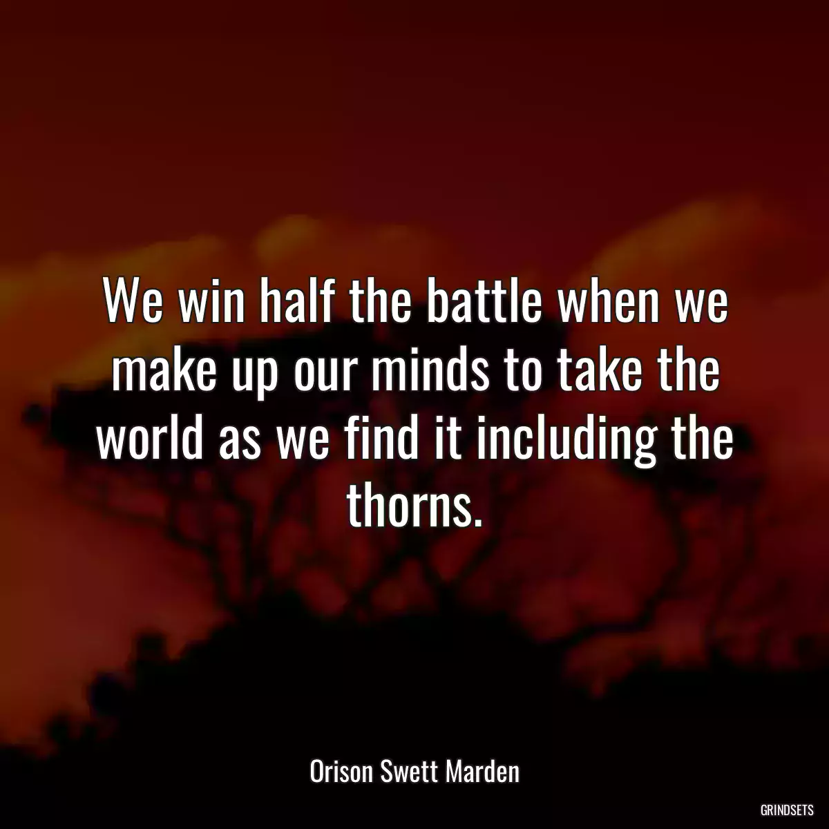 We win half the battle when we make up our minds to take the world as we find it including the thorns.