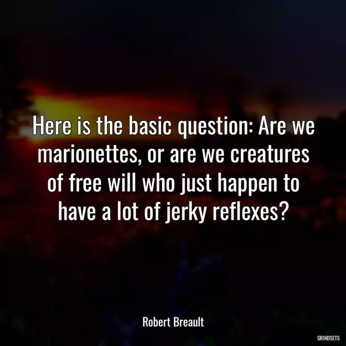 Here is the basic question: Are we marionettes, or are we creatures of free will who just happen to have a lot of jerky reflexes?