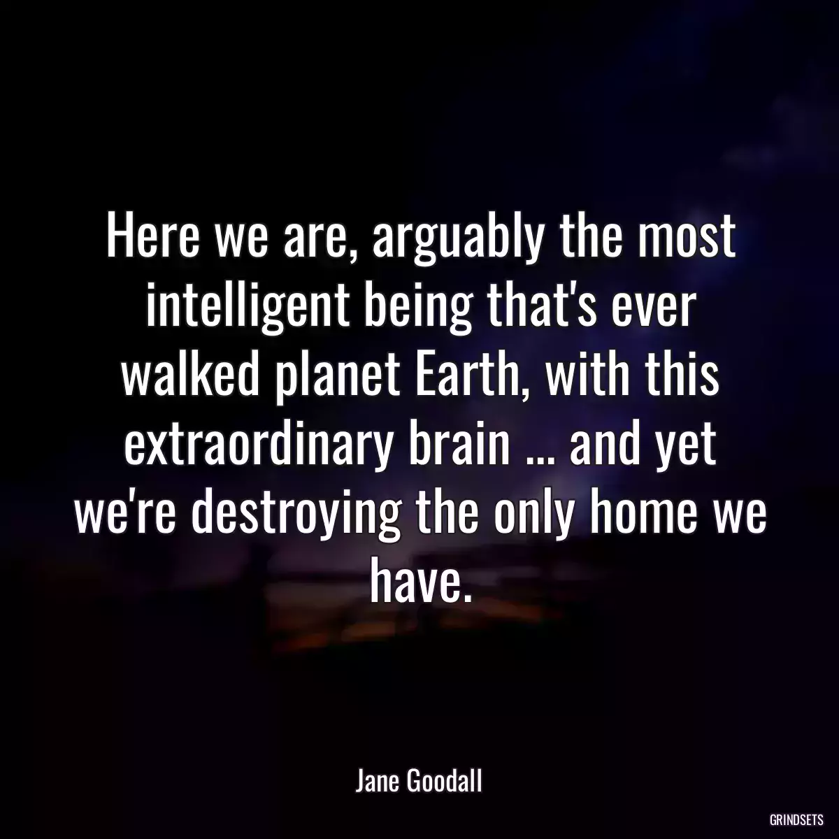 Here we are, arguably the most intelligent being that\'s ever walked planet Earth, with this extraordinary brain ... and yet we\'re destroying the only home we have.