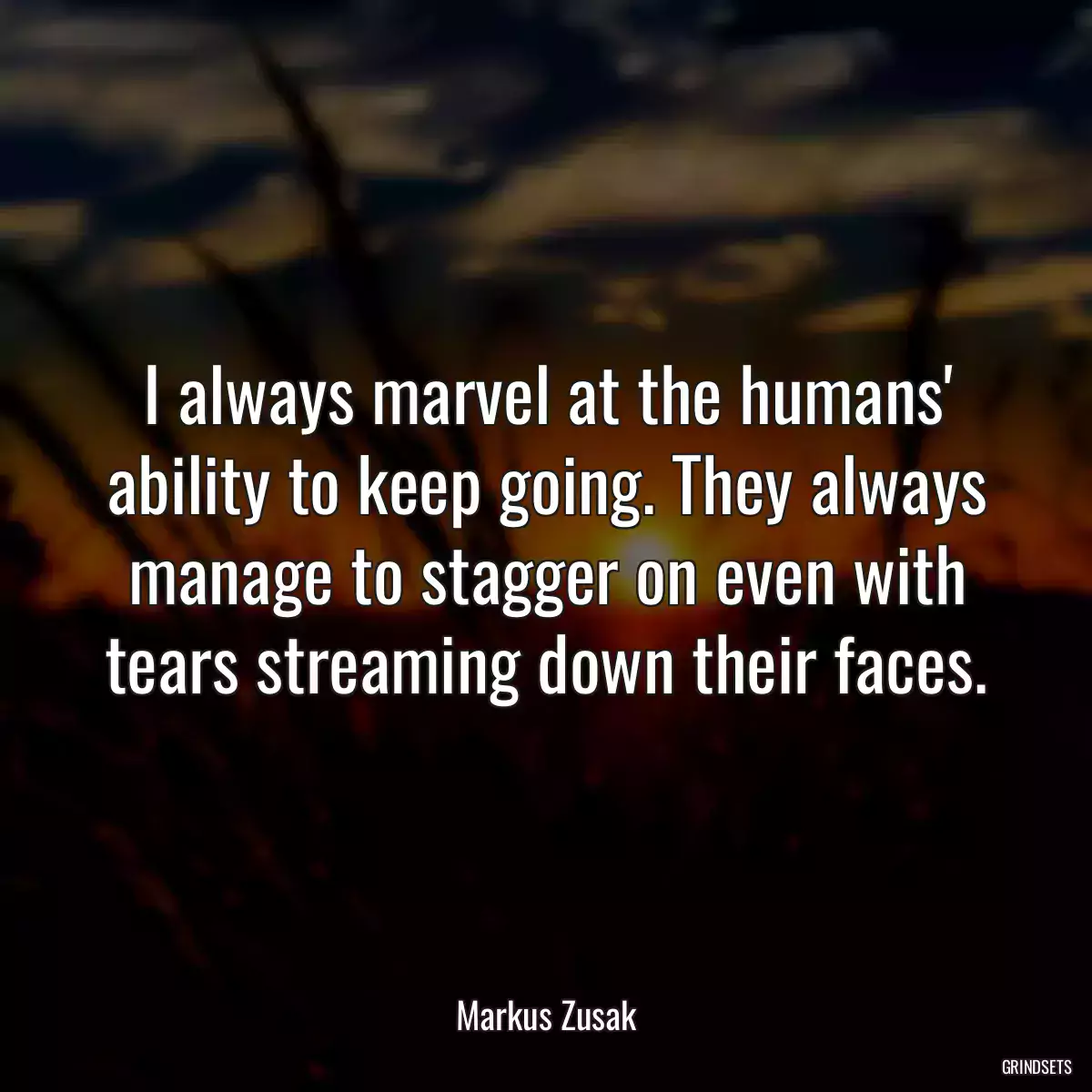 I always marvel at the humans\' ability to keep going. They always manage to stagger on even with tears streaming down their faces.