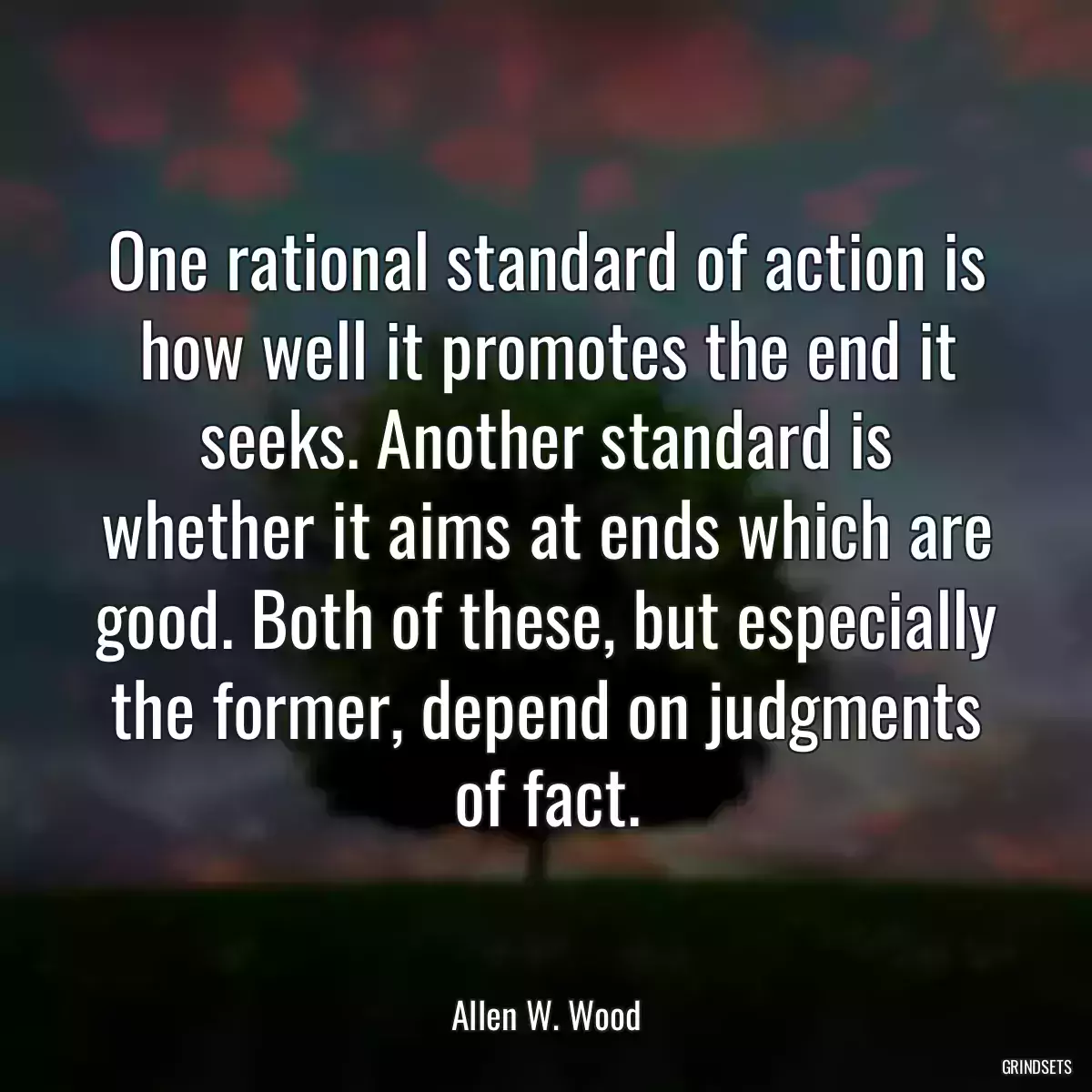 One rational standard of action is how well it promotes the end it seeks. Another standard is whether it aims at ends which are good. Both of these, but especially the former, depend on judgments of fact.