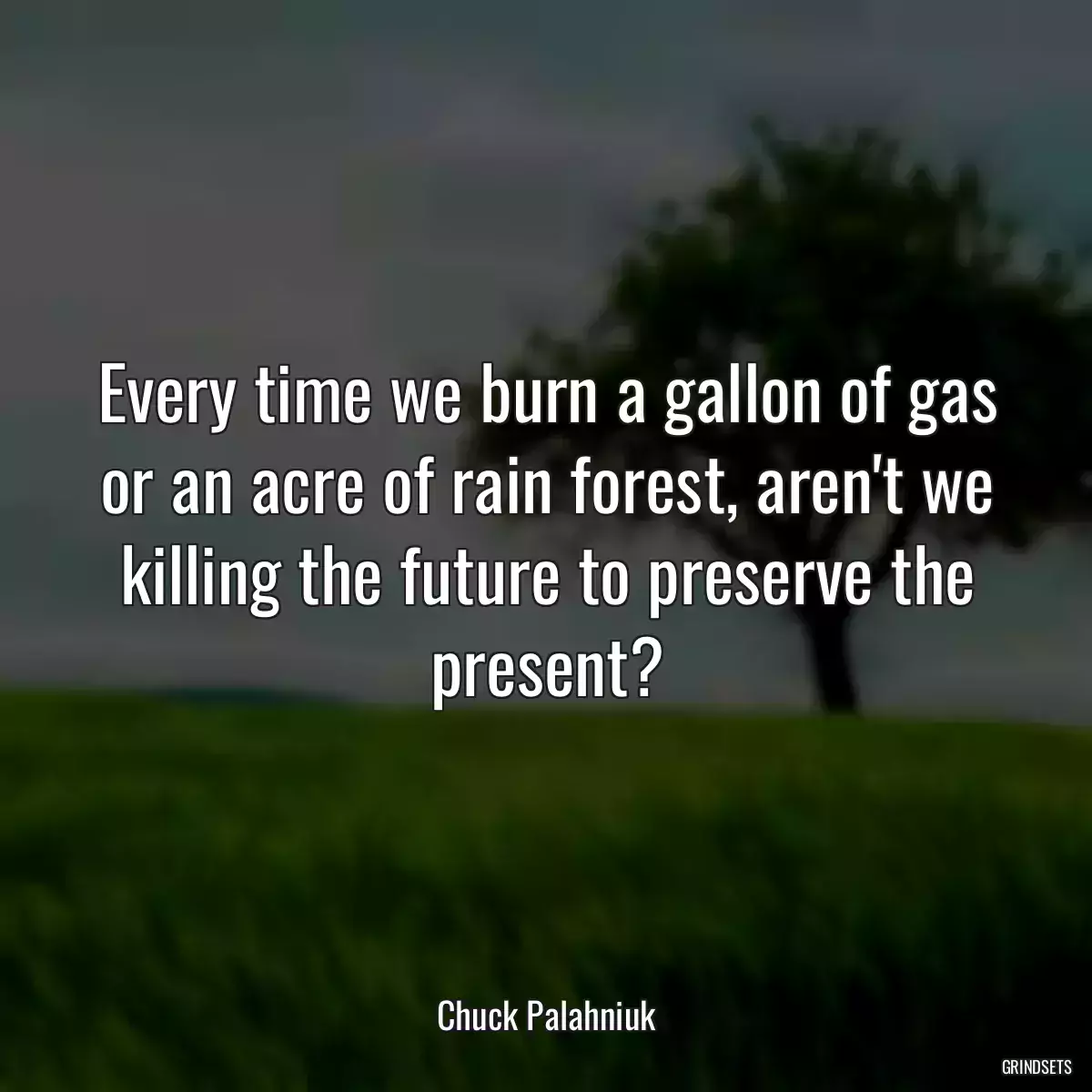 Every time we burn a gallon of gas or an acre of rain forest, aren\'t we killing the future to preserve the present?